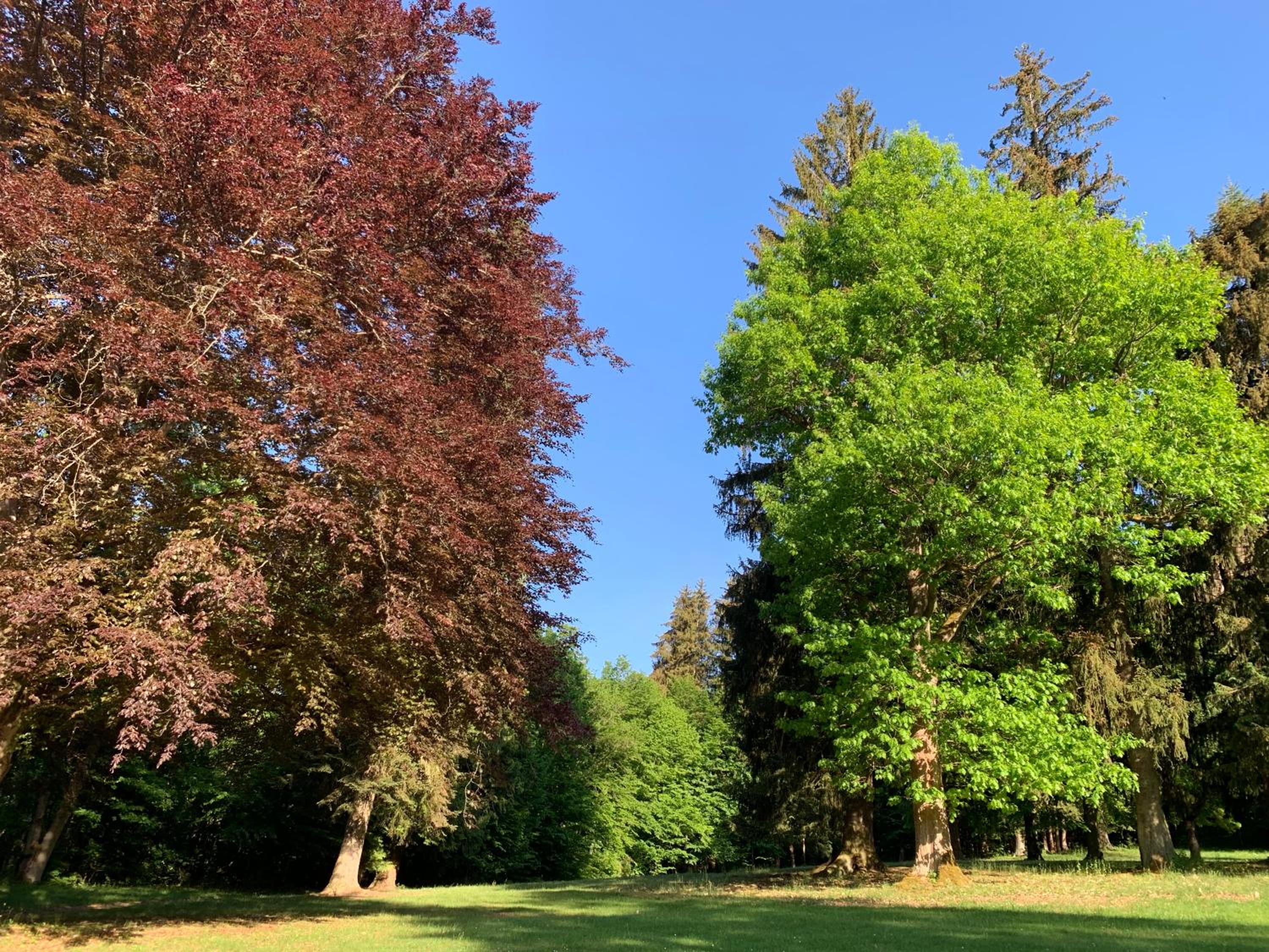 Landsitz Kammerburg