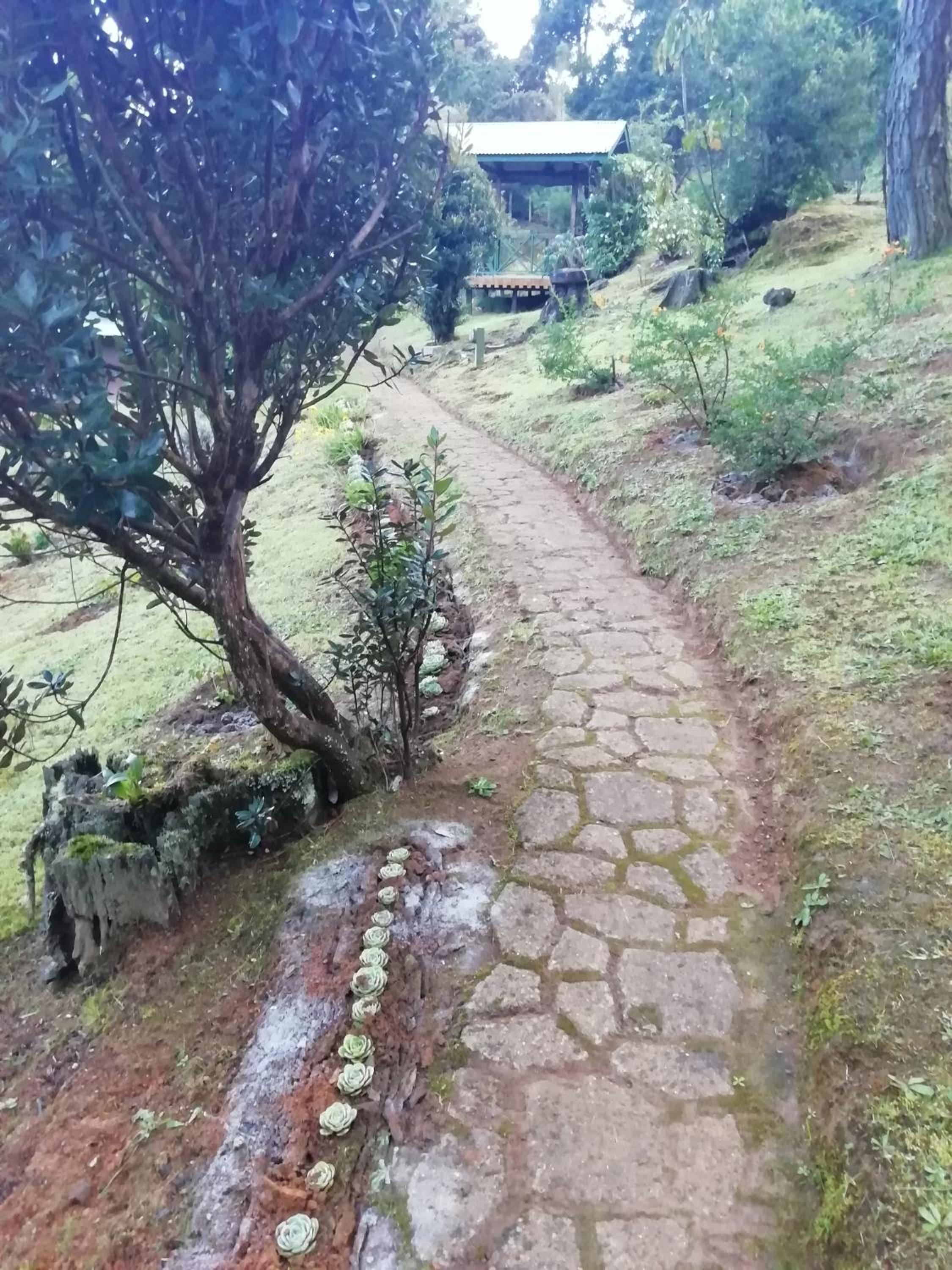 Miriam'S Quetzals lodge