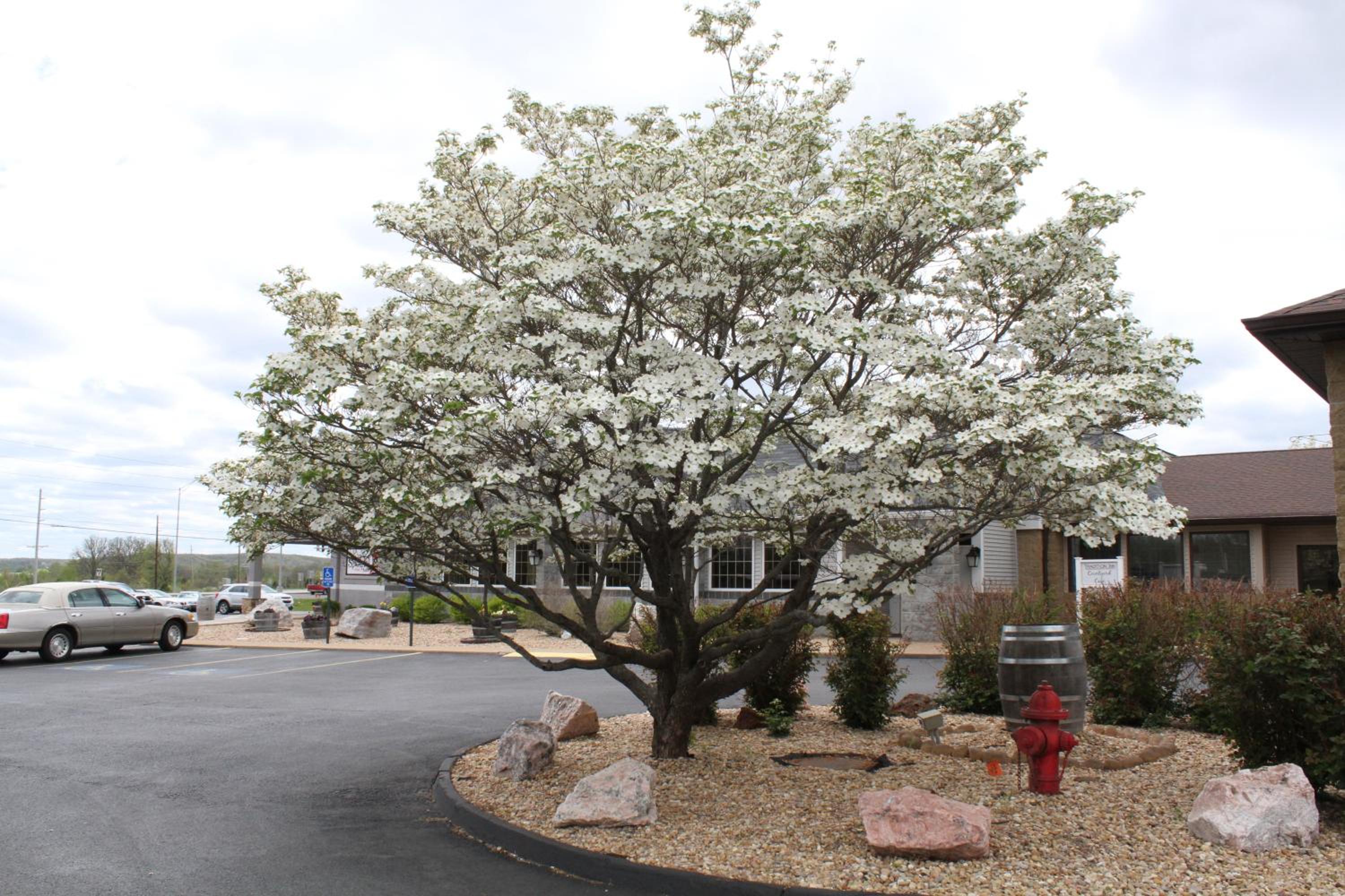 Farmington Vacations - Baymont Inn and Suites by Wyndham Farmington, MO - Property Image 15