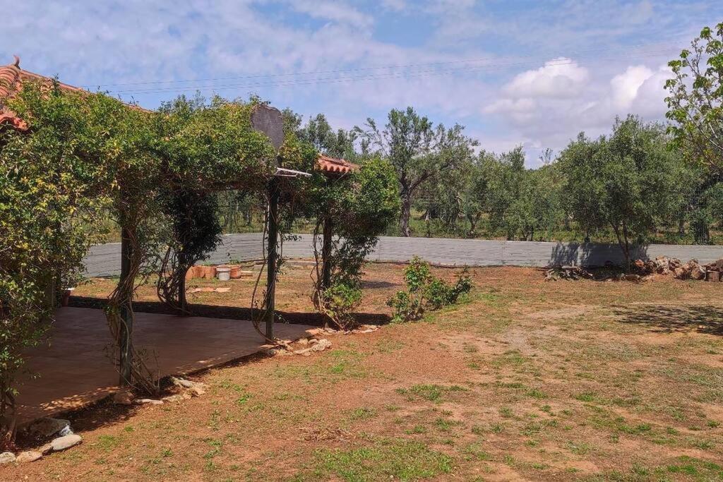 Village House - Monemvasia municipality photo 4