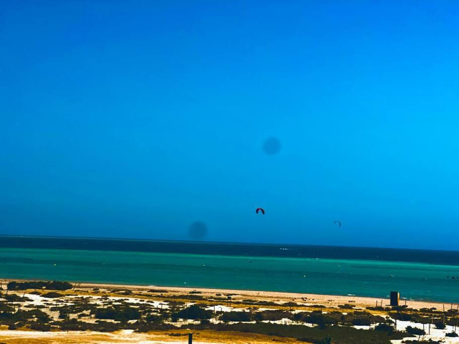Mangroovy Seafront condo - Great Kite Surfing