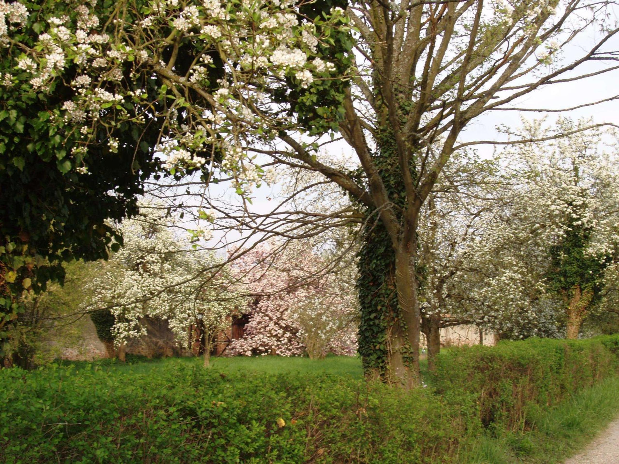 Photo 48