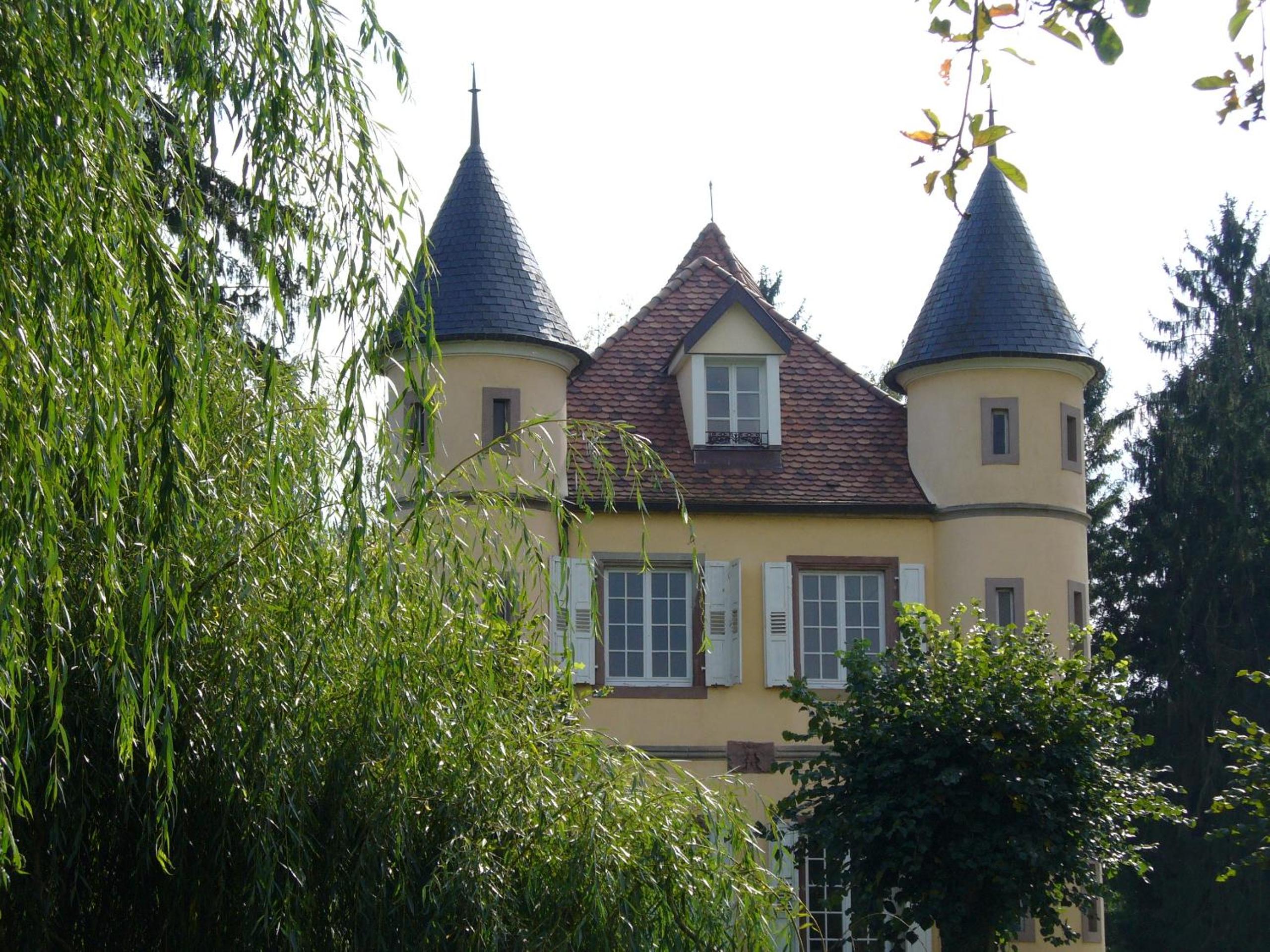 Photo 21
