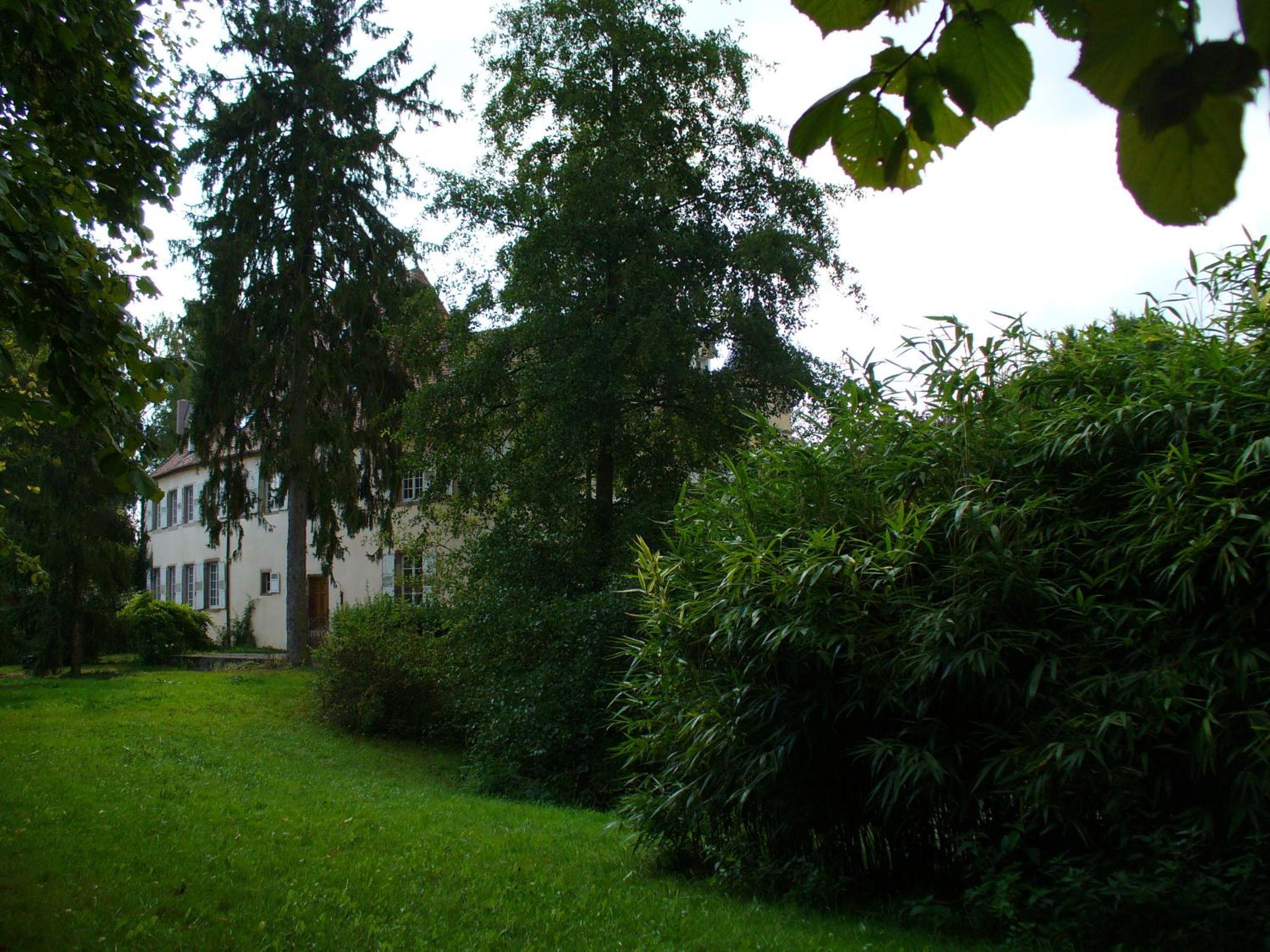Photo 57