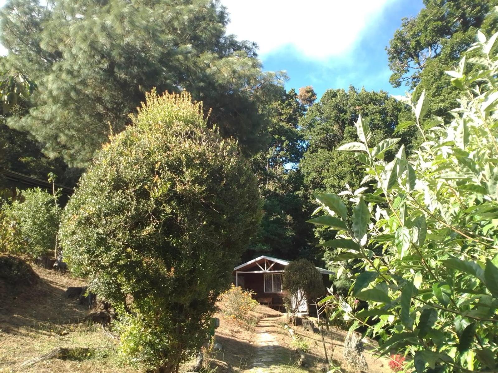 Miriam'S Quetzals lodge