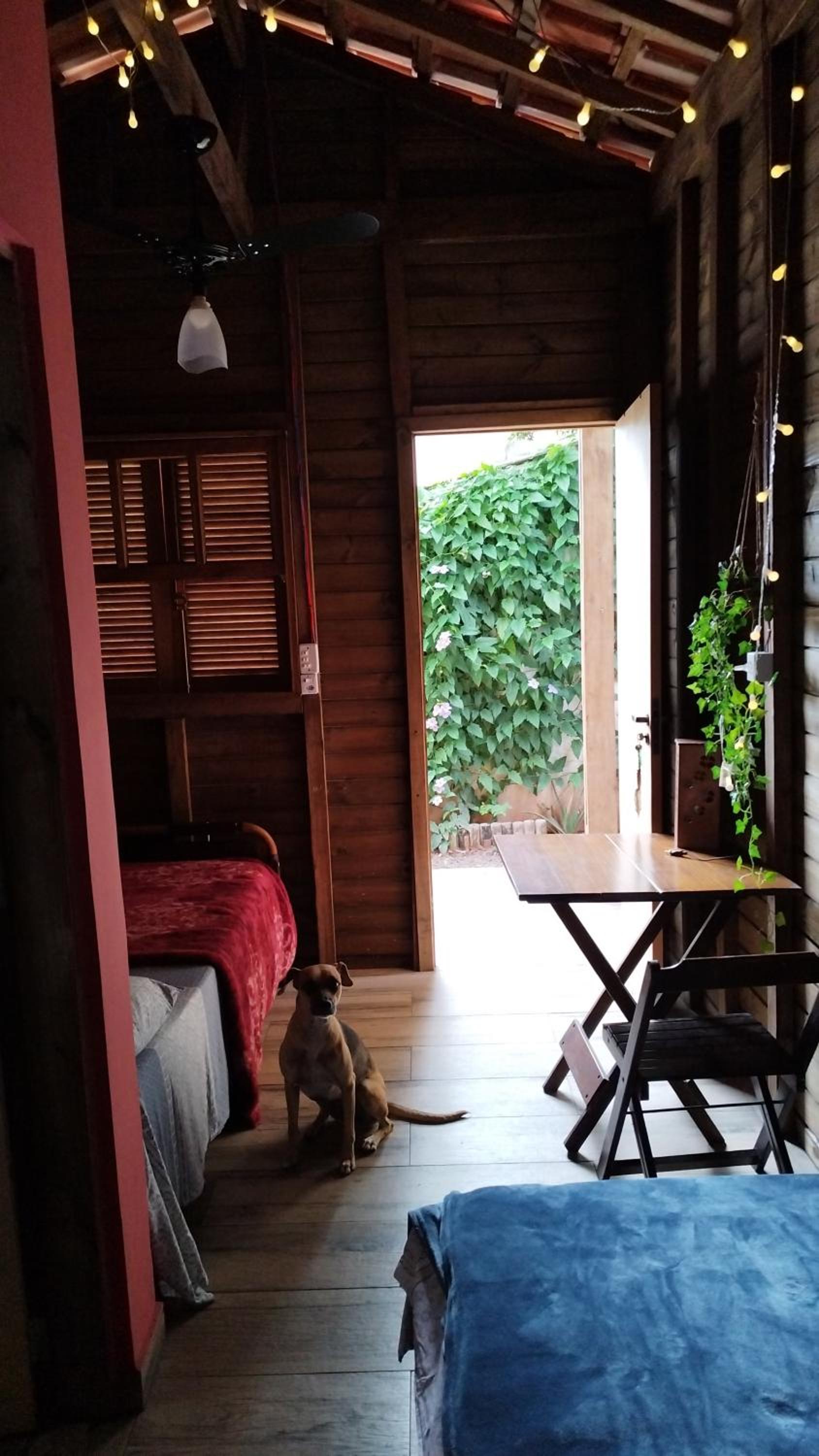 ACOMODAÇÃO Café com Arte