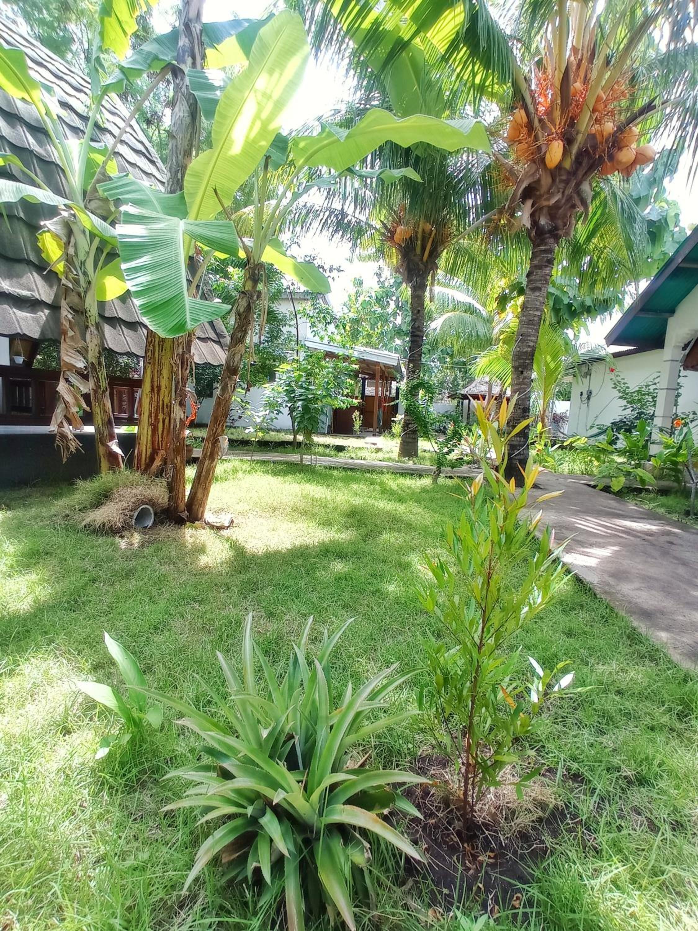 Photo 40