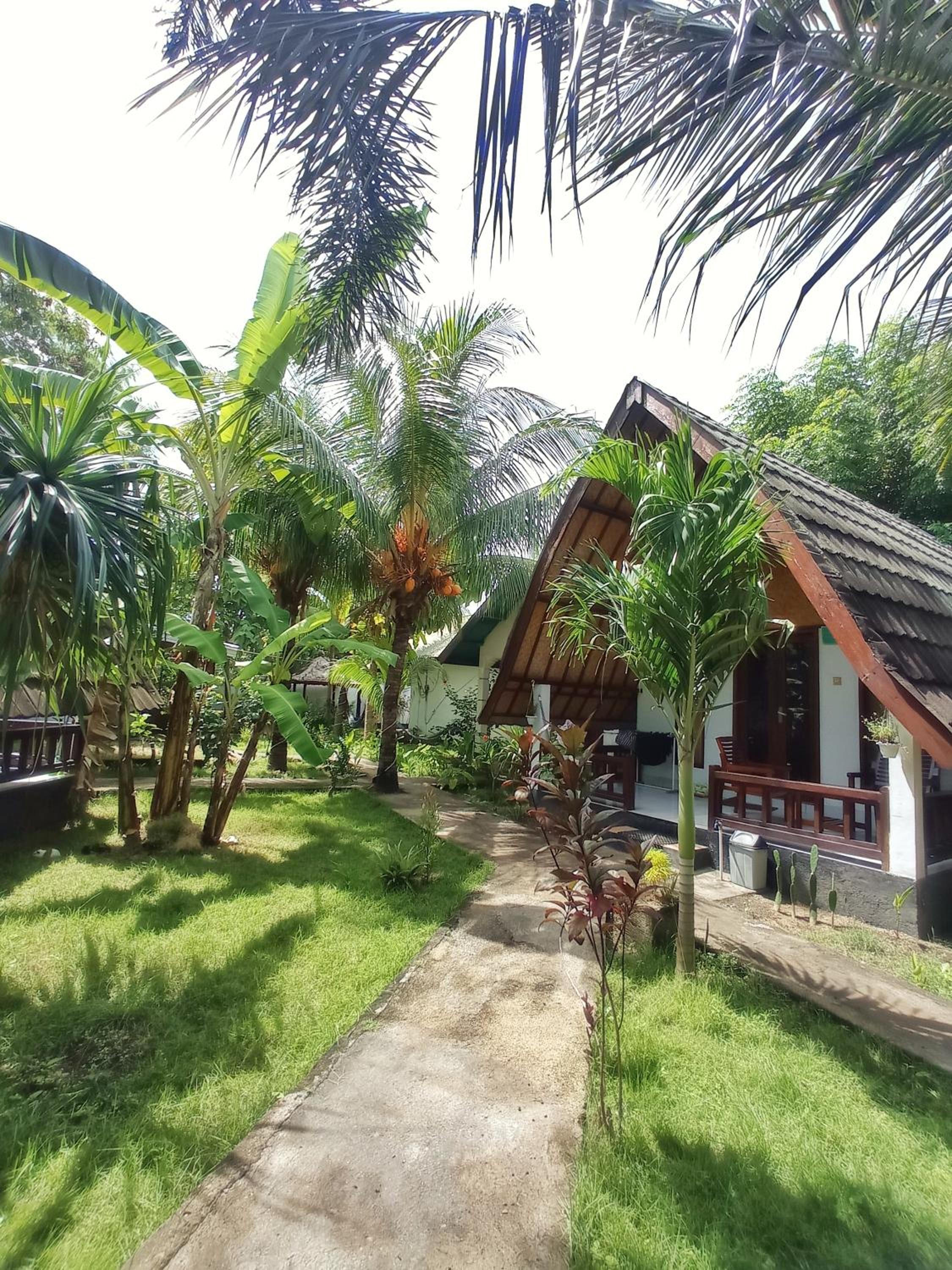Photo 42