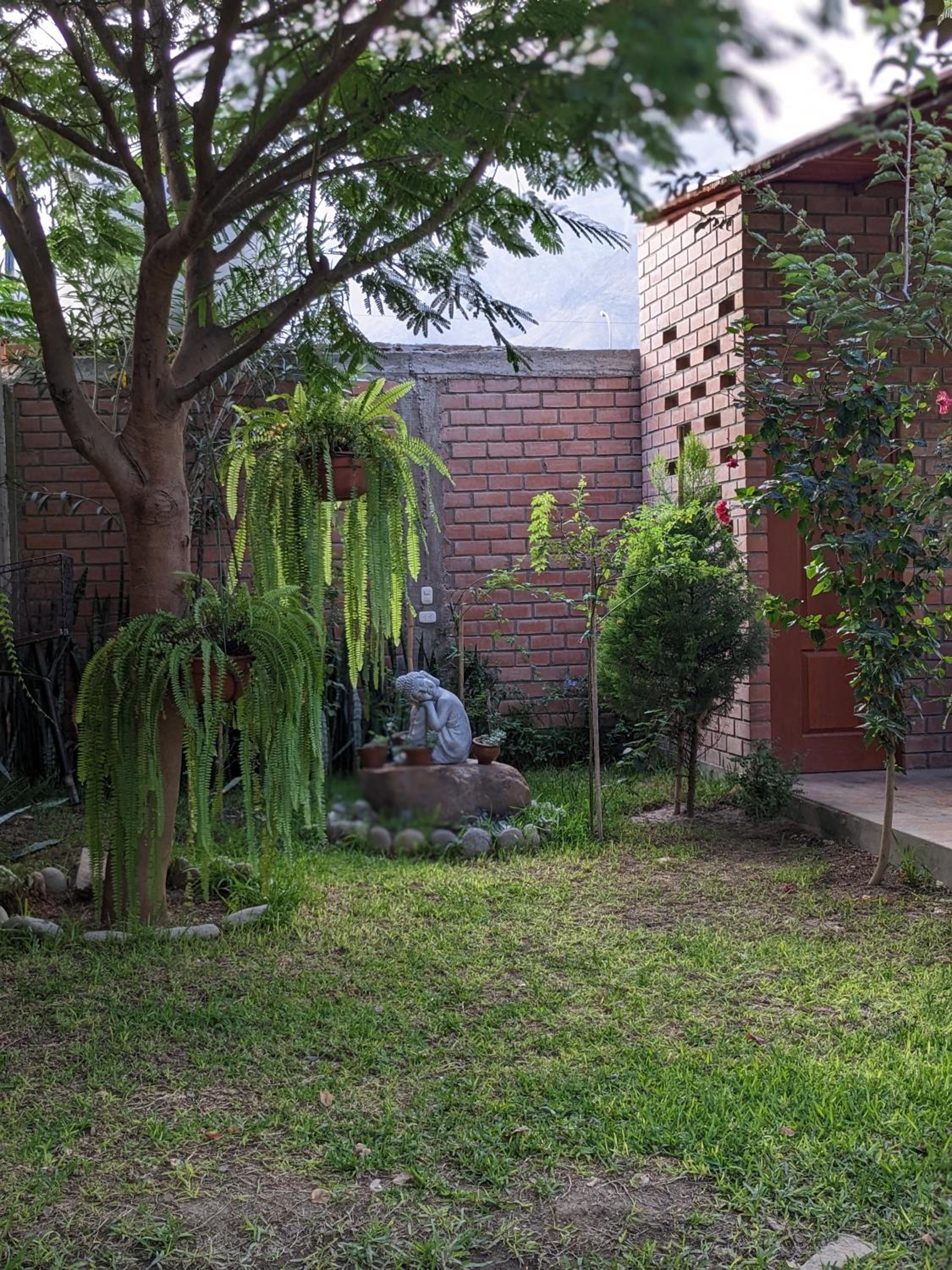 Photo 23