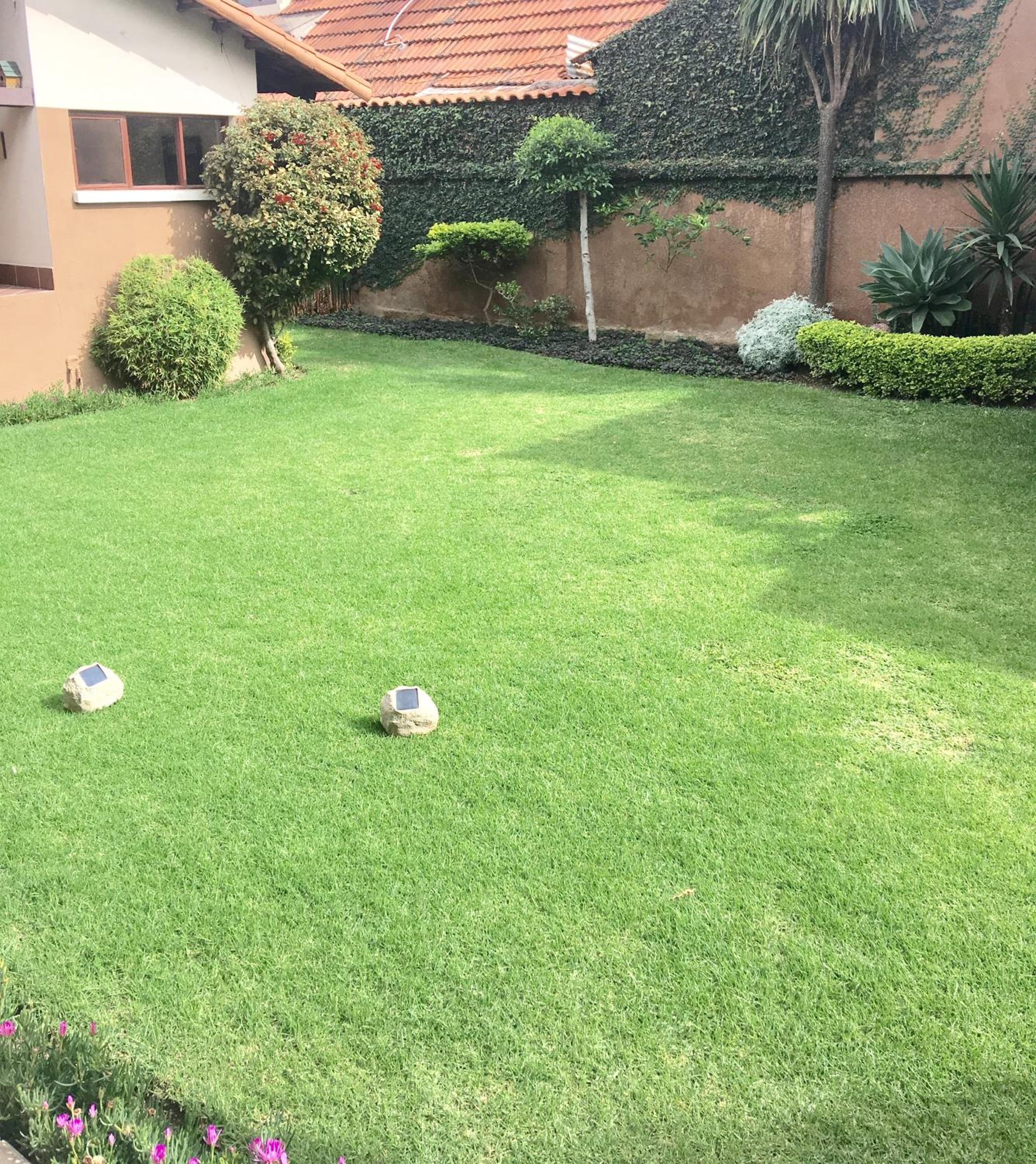 Apartamento Standard