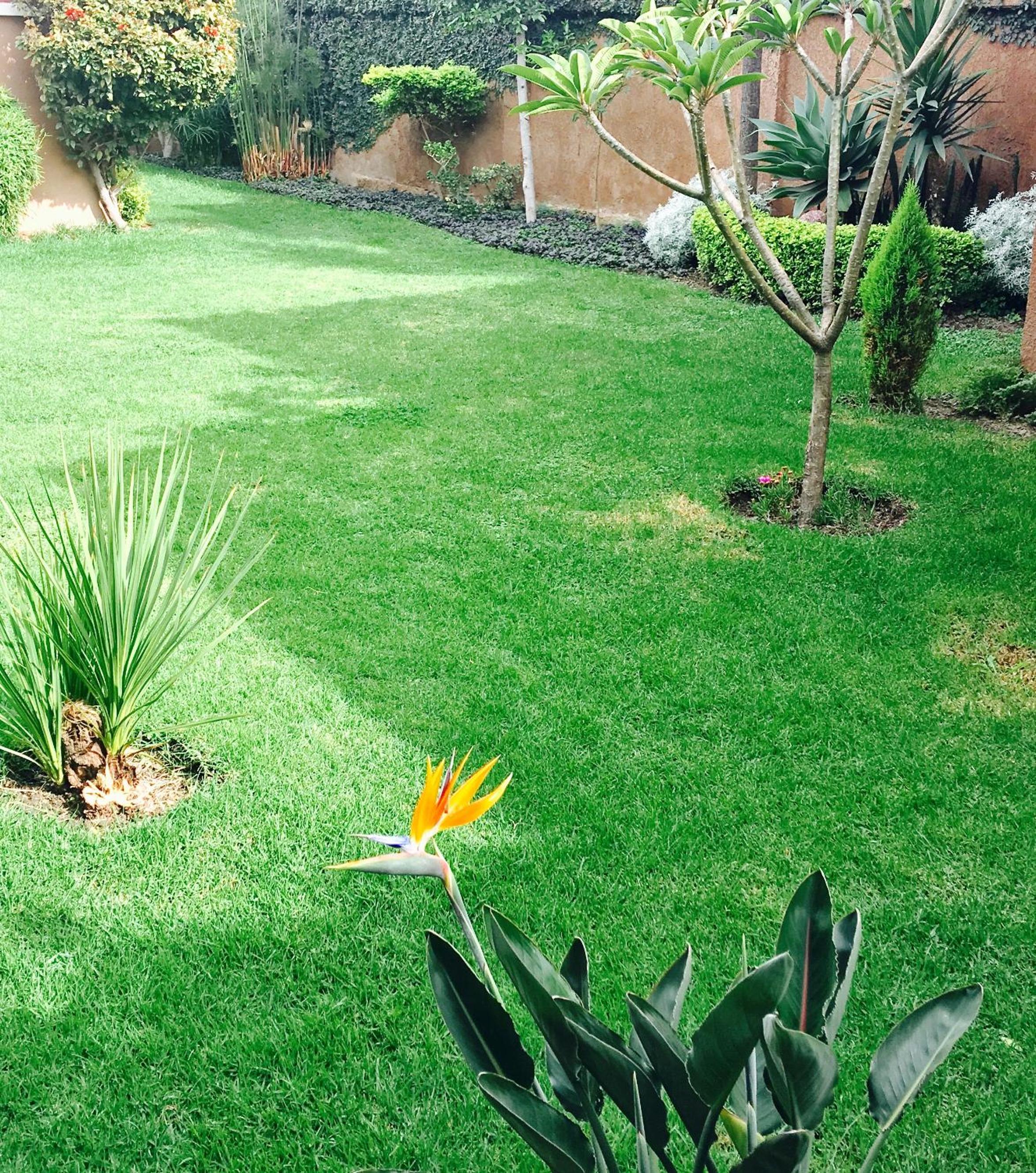 Apartamento Standard