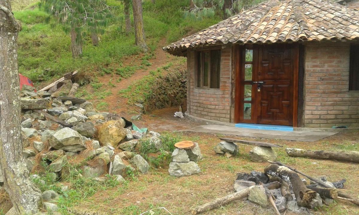 Photo 42