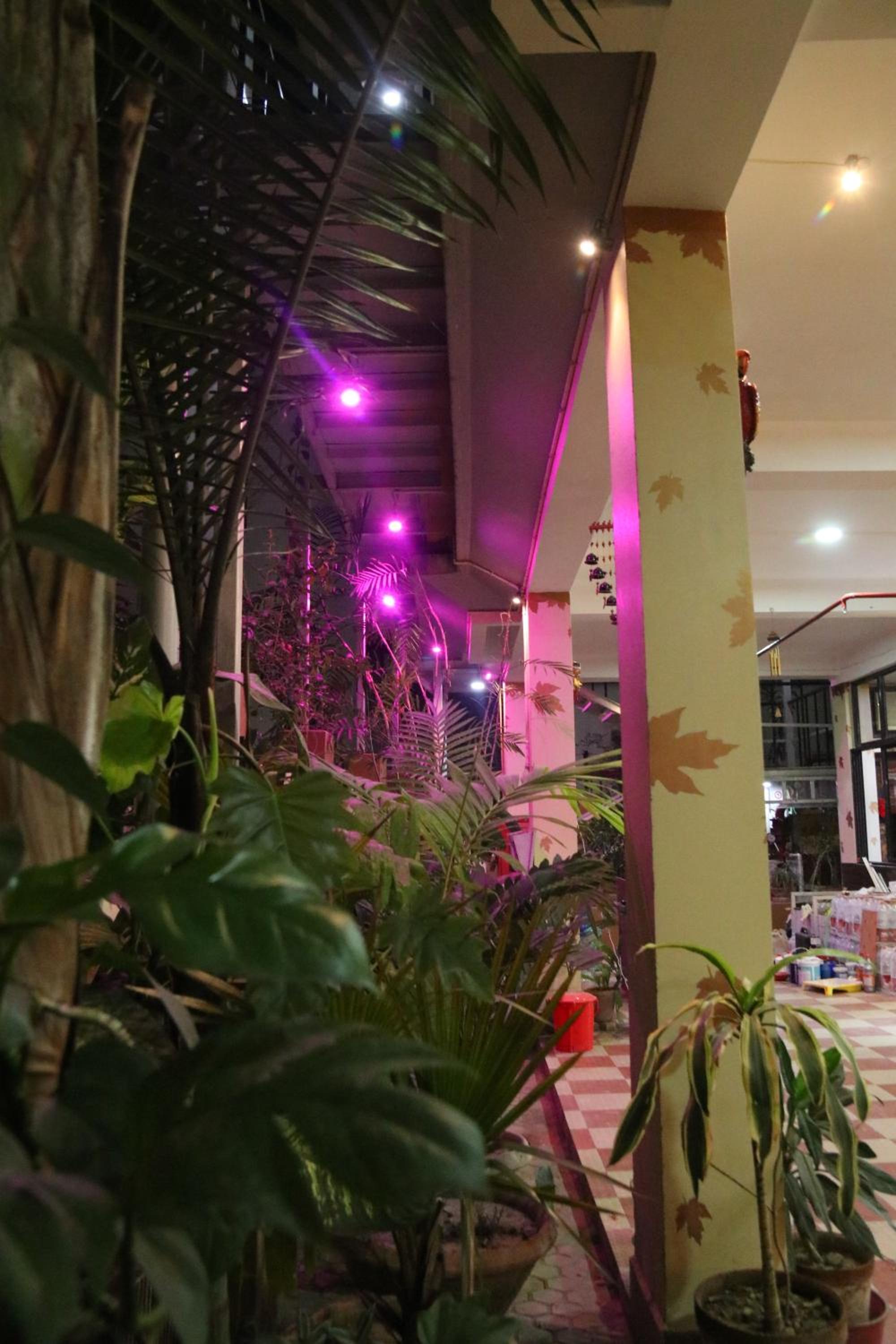 The Elite Apartment Hotel