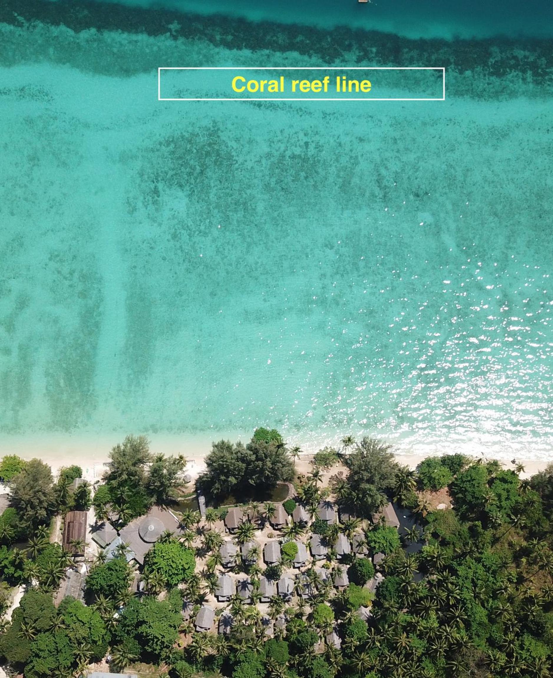 Coco Cottage