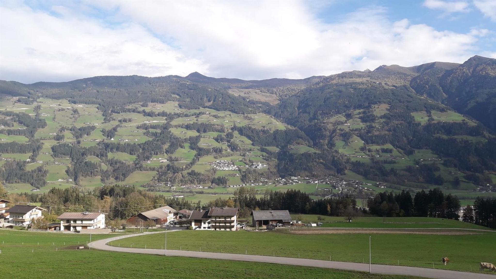 Ferienwohnung Birkenheim