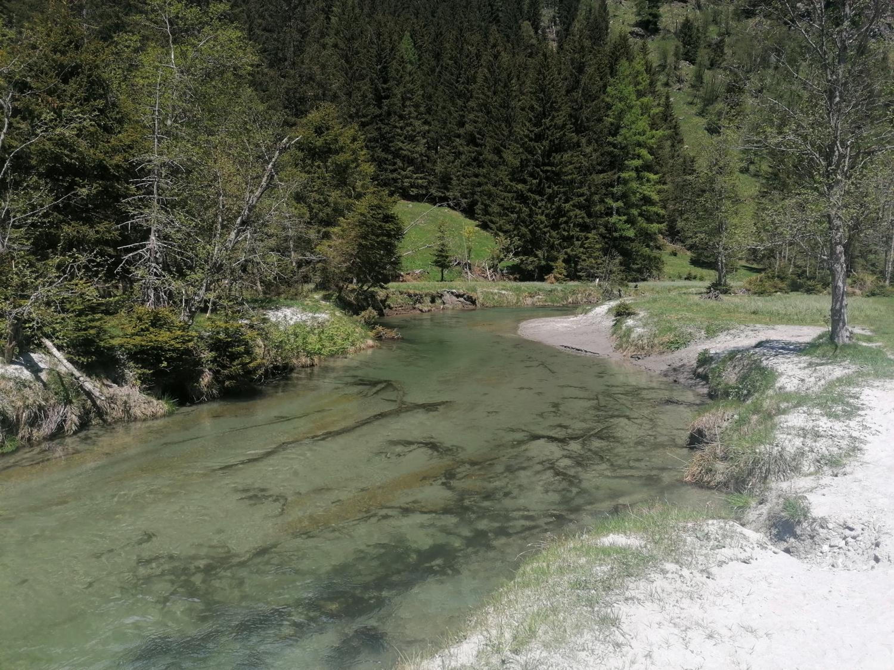 Photo 35