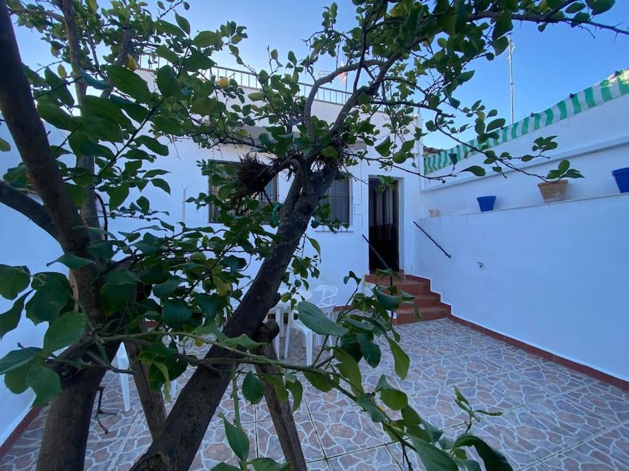 Casa Rosalía