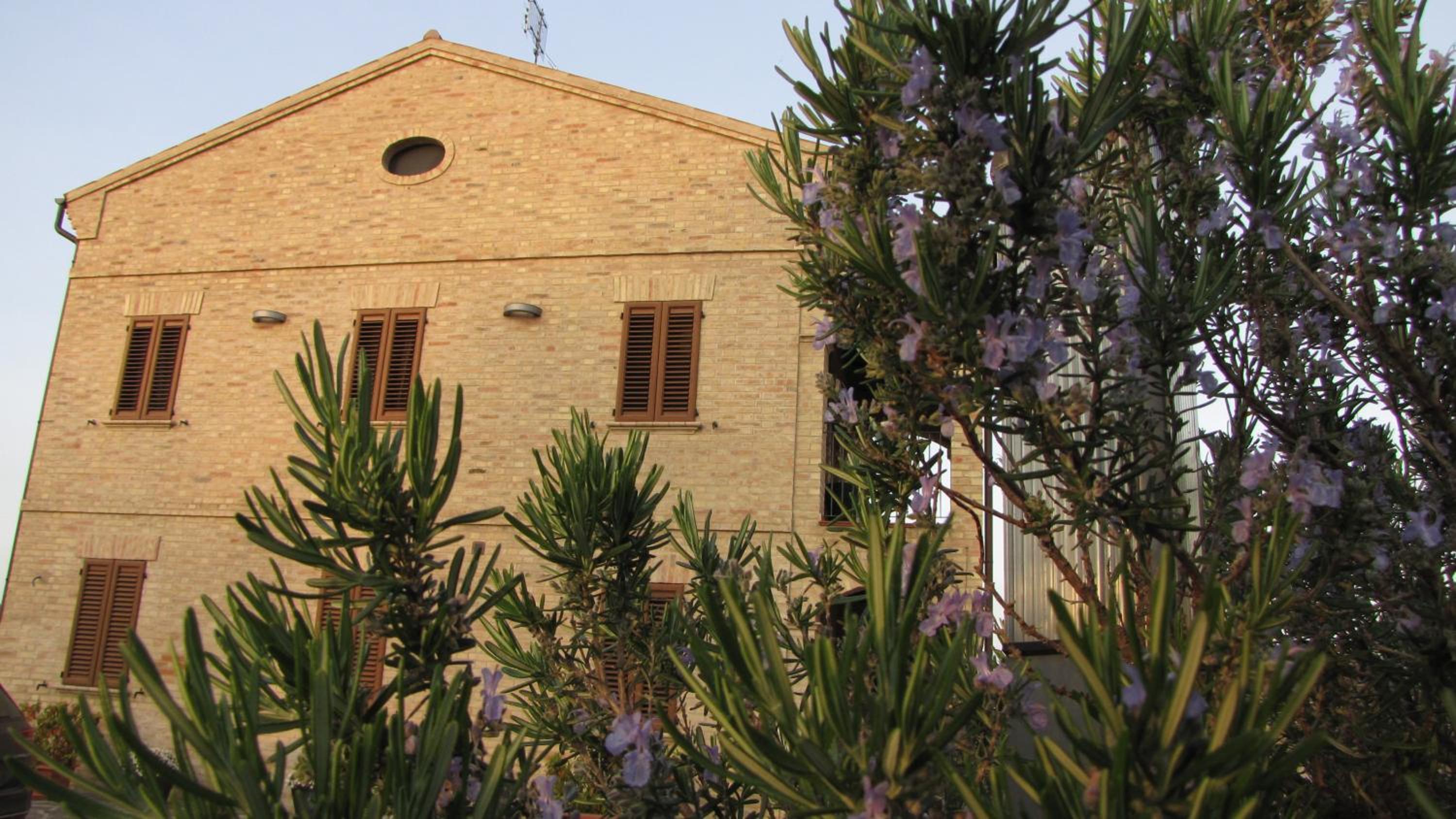 Photo 27