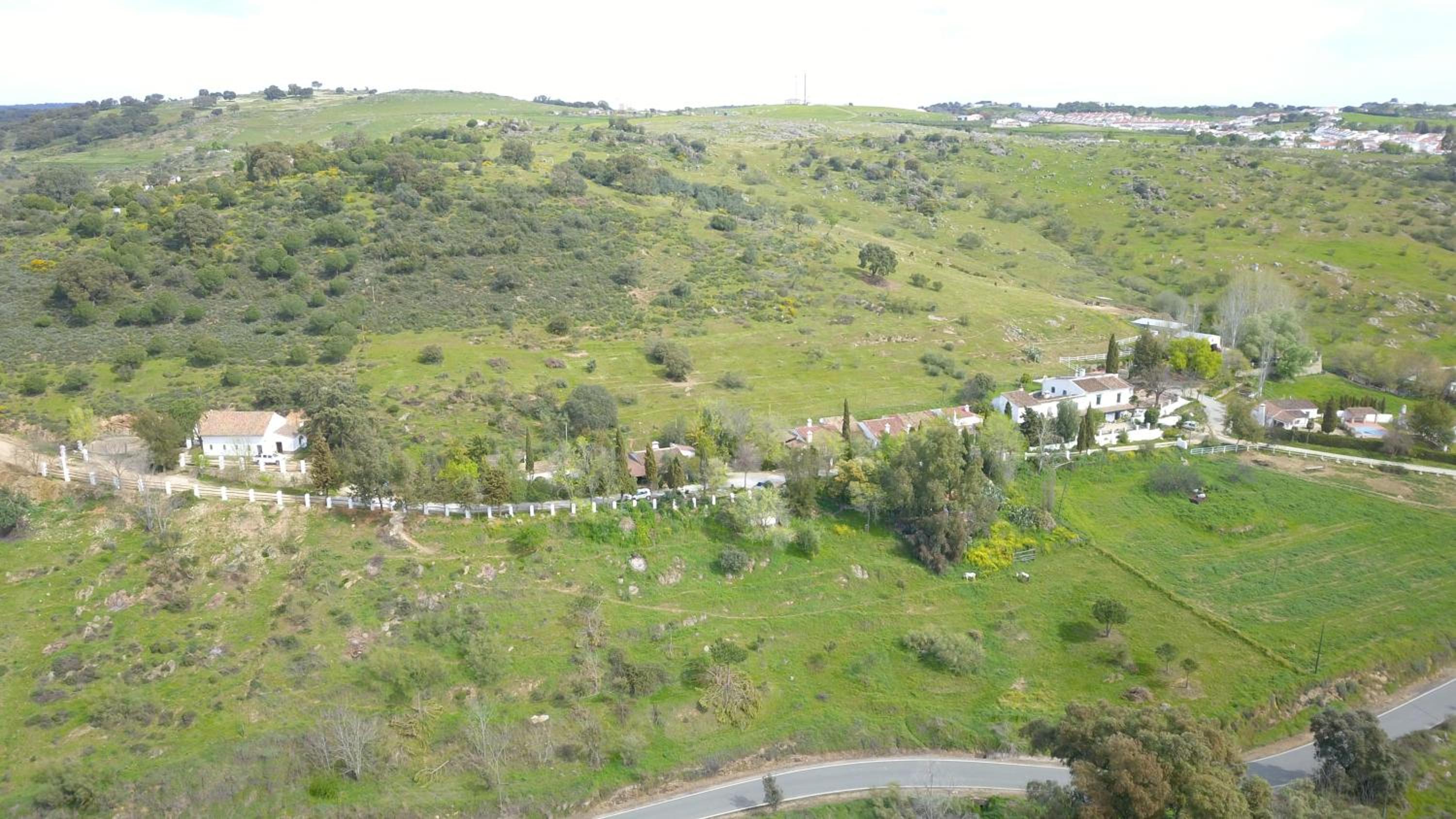 Photo 47