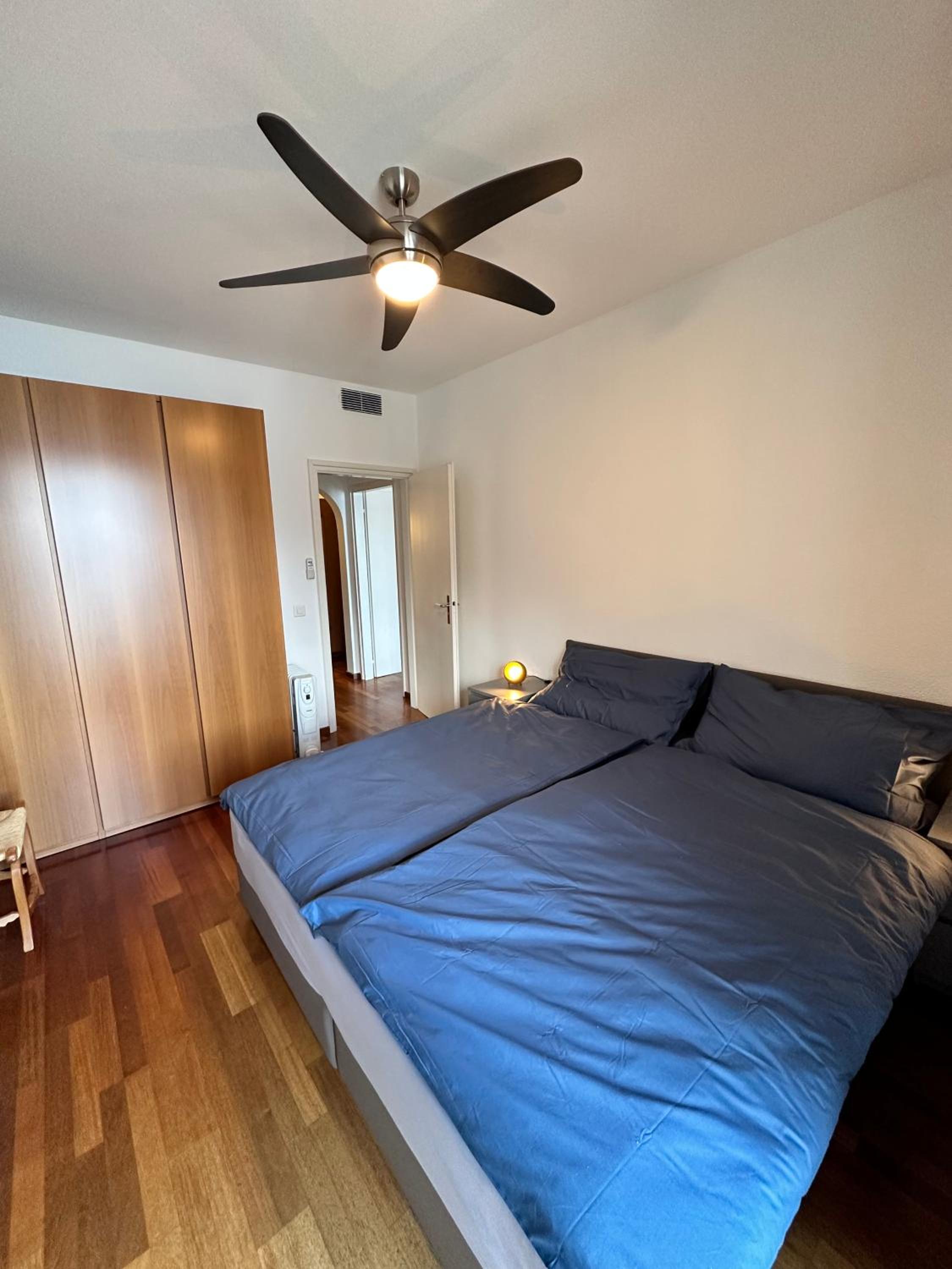Appartamento Ascona Vista Lago