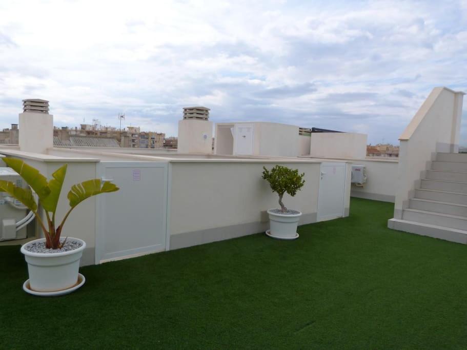 roof