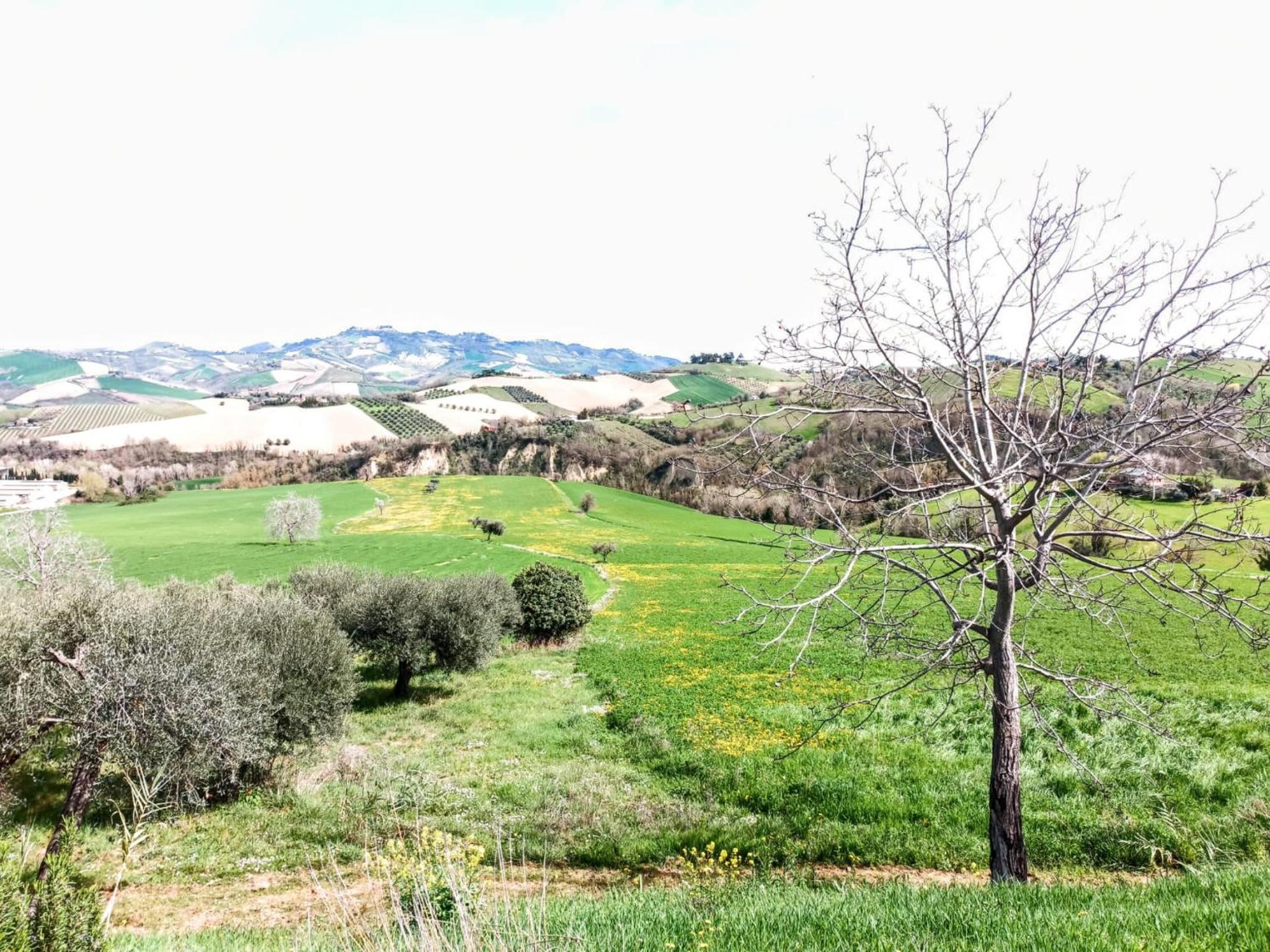 Photo 43