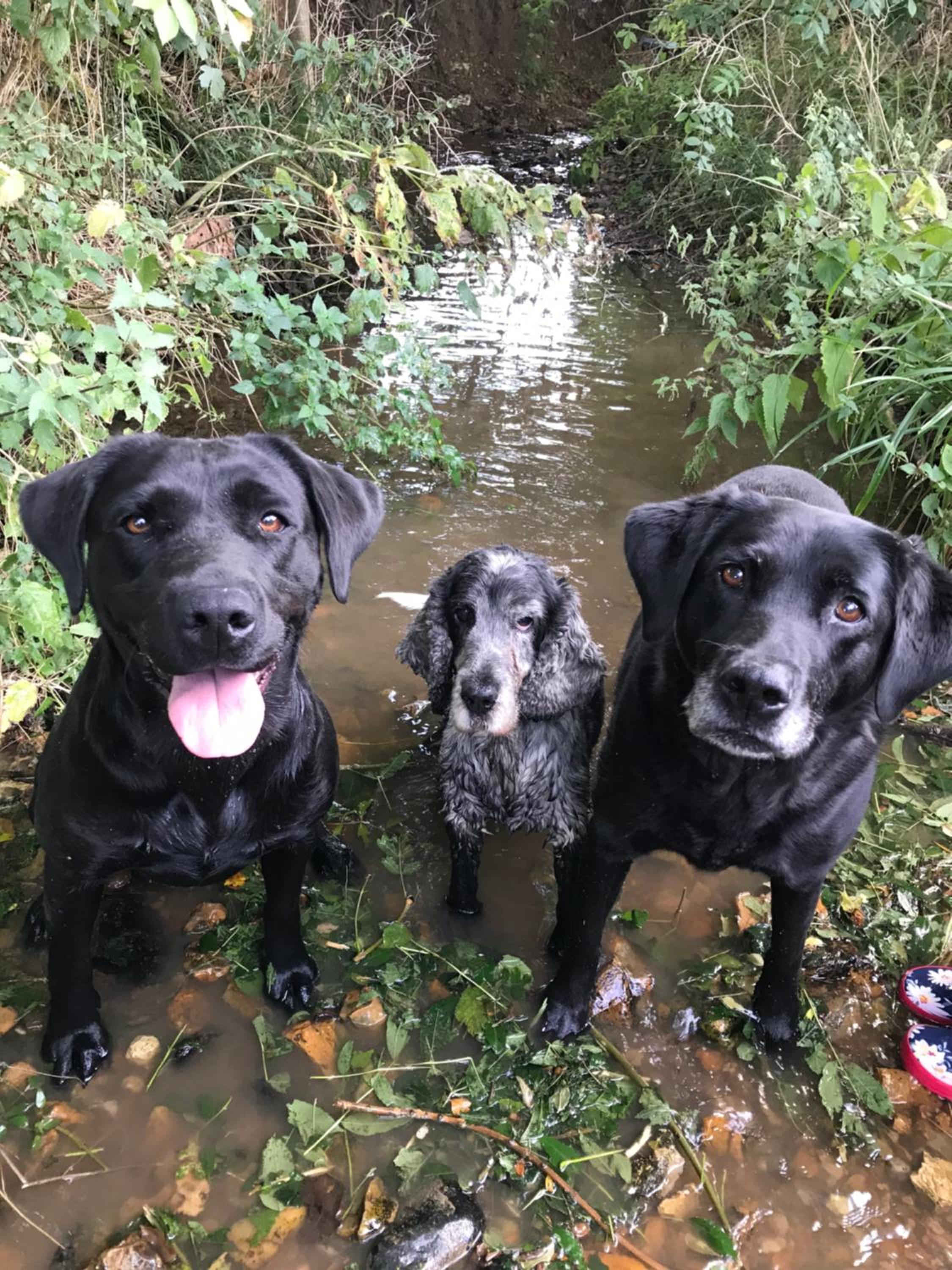 other