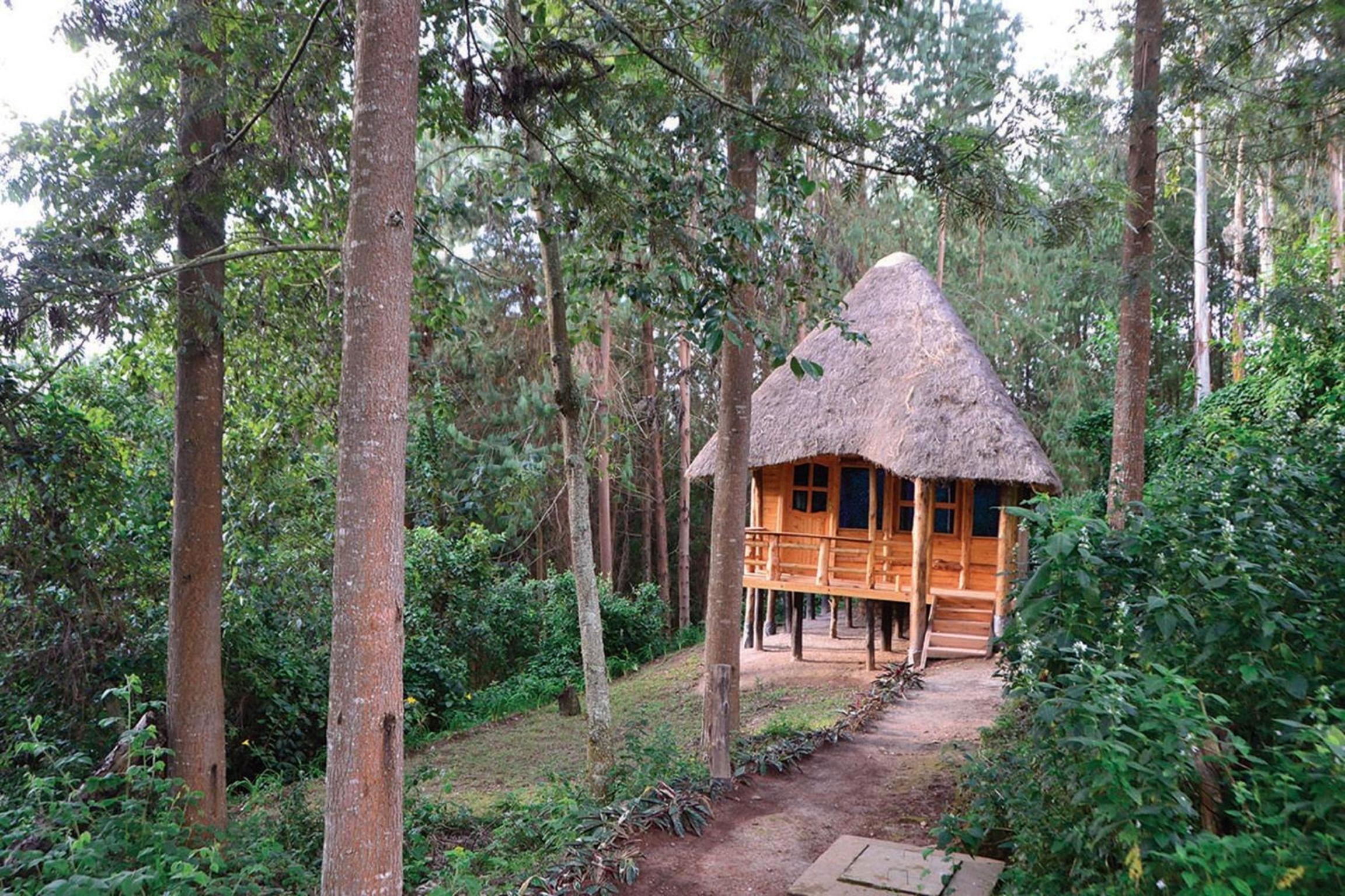 Lake Bunyonyi Eco Resort