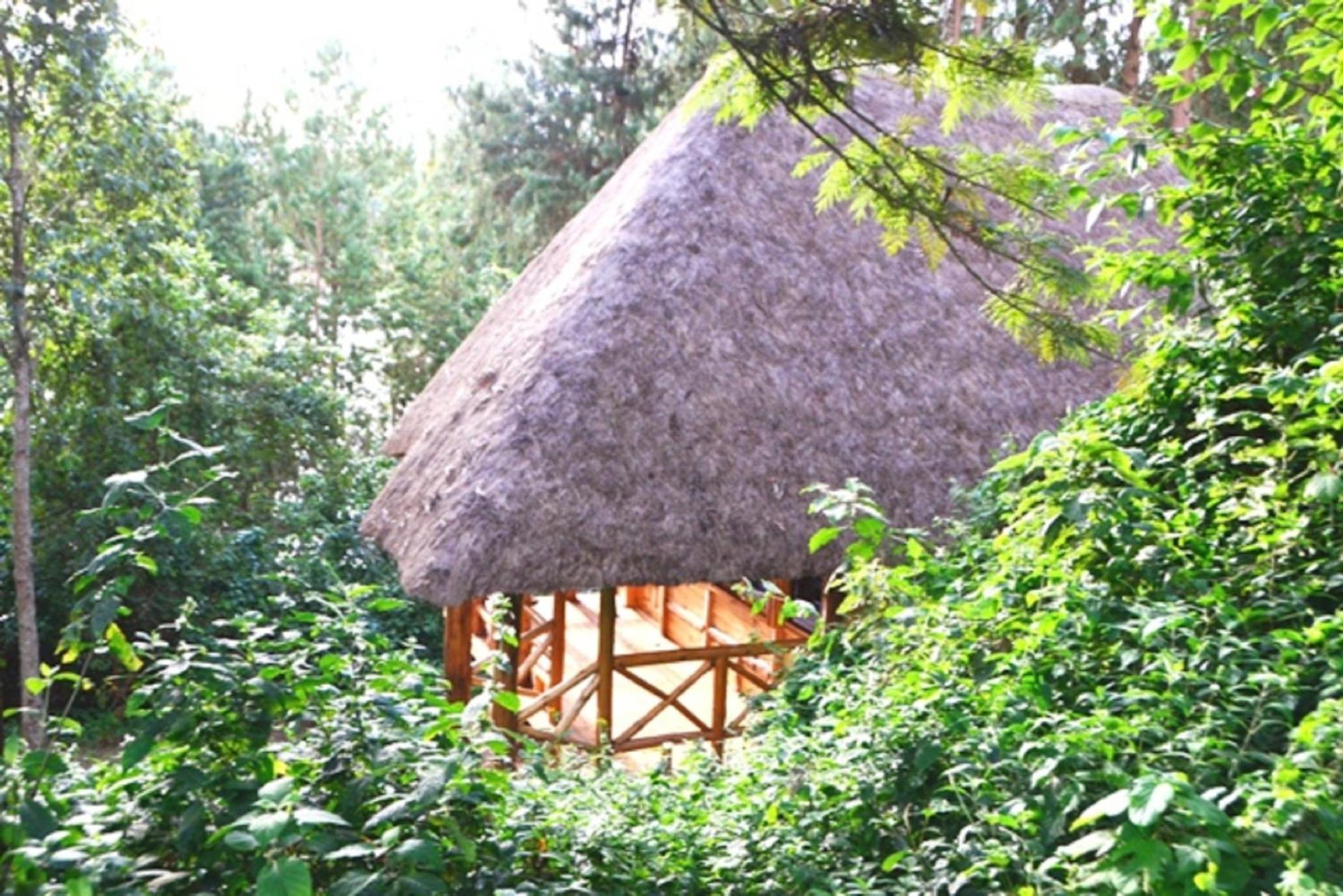 Lake Bunyonyi Eco Resort