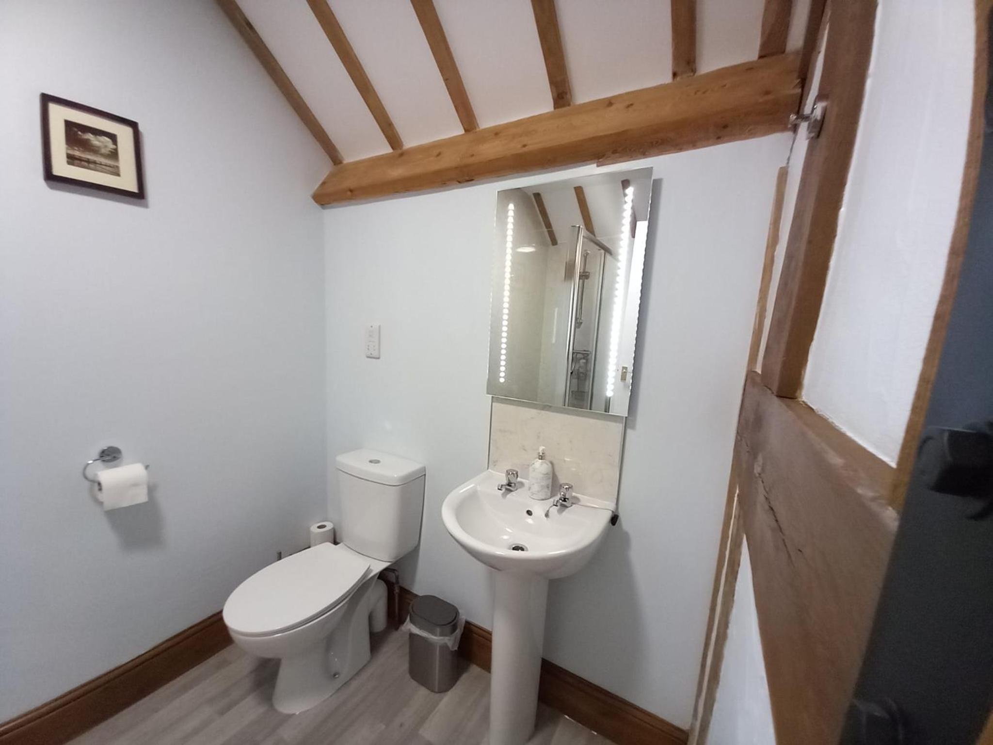 The Dolfor Inn Adults only view 3