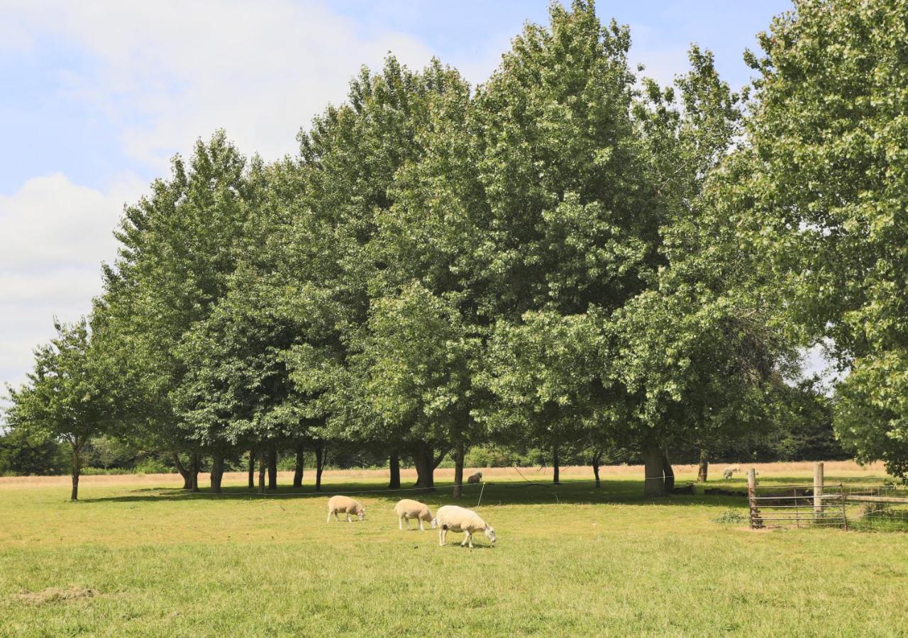 3 Bed in Barsham oc-bbarn