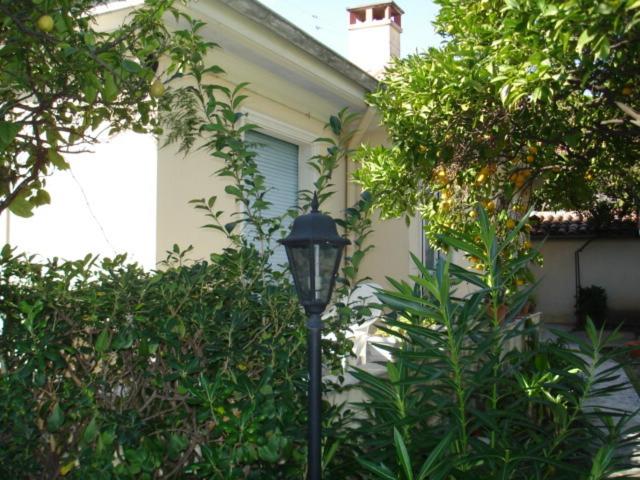 Photo 34