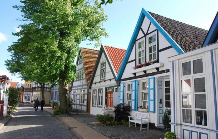 Birnbom Warnemünde