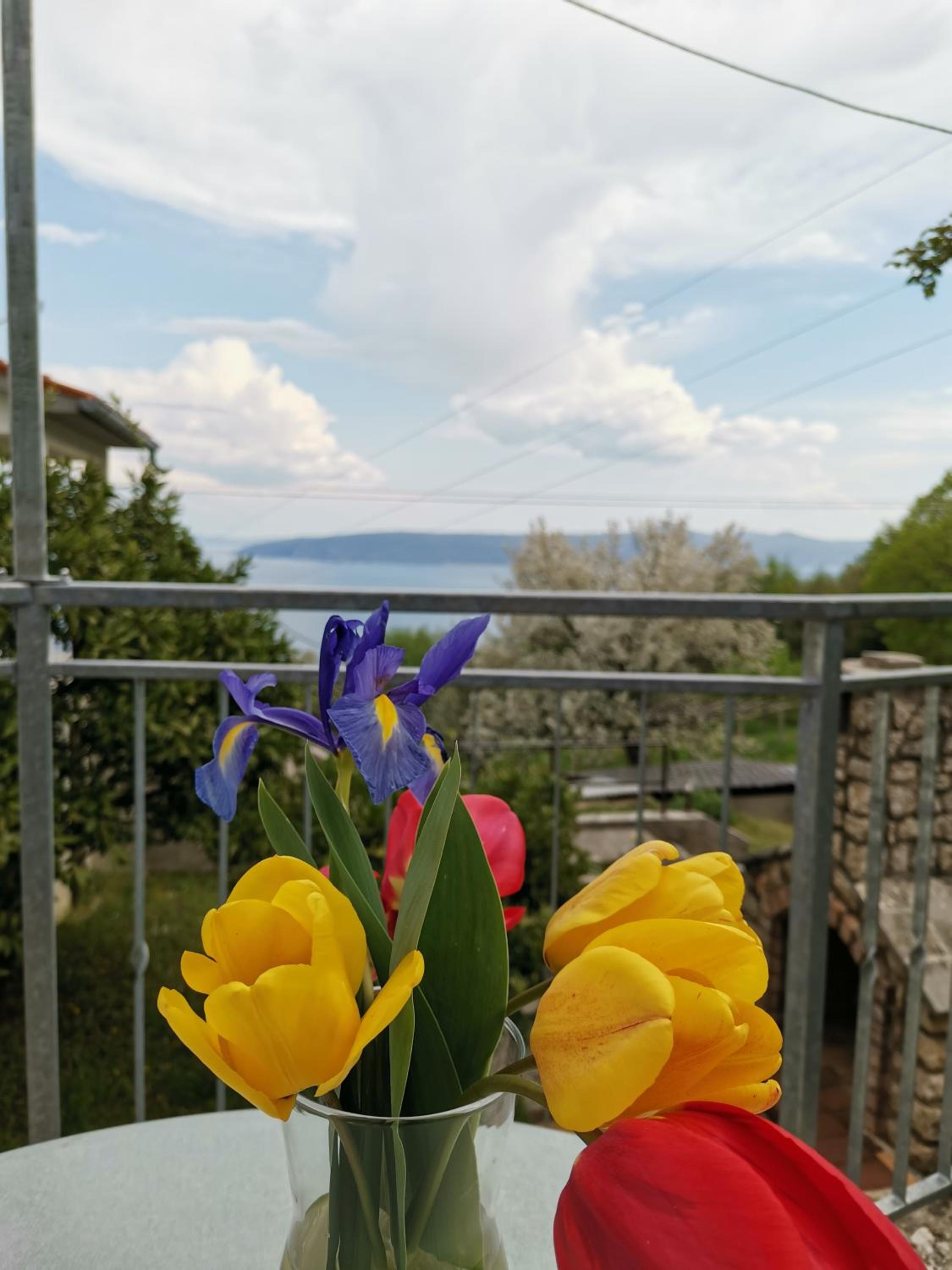 Apartman MARIJETA view 4