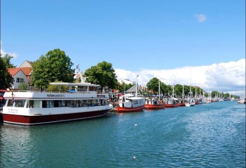 Birnbom Warnemünde