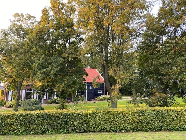 Photo 28
