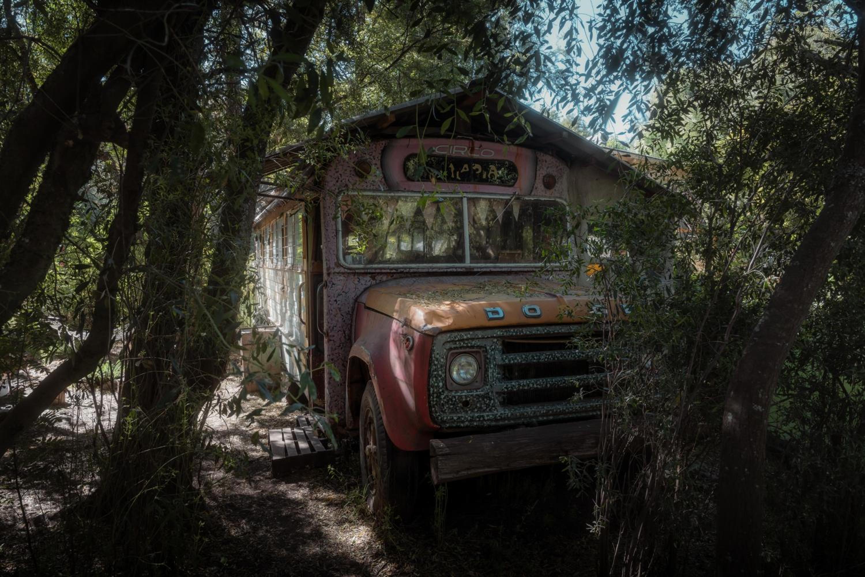Casita depto en el bosque