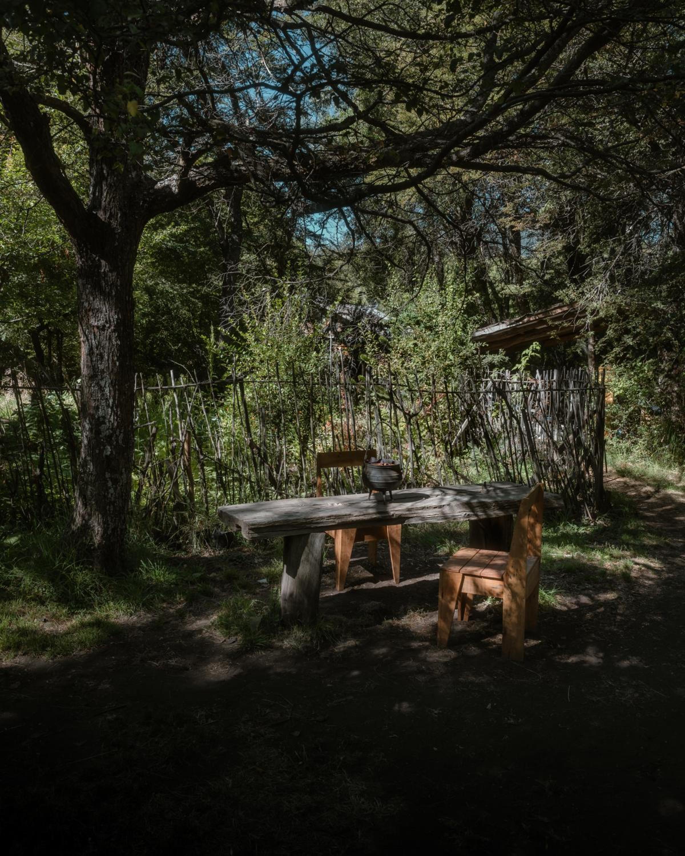 Casita depto en el bosque
