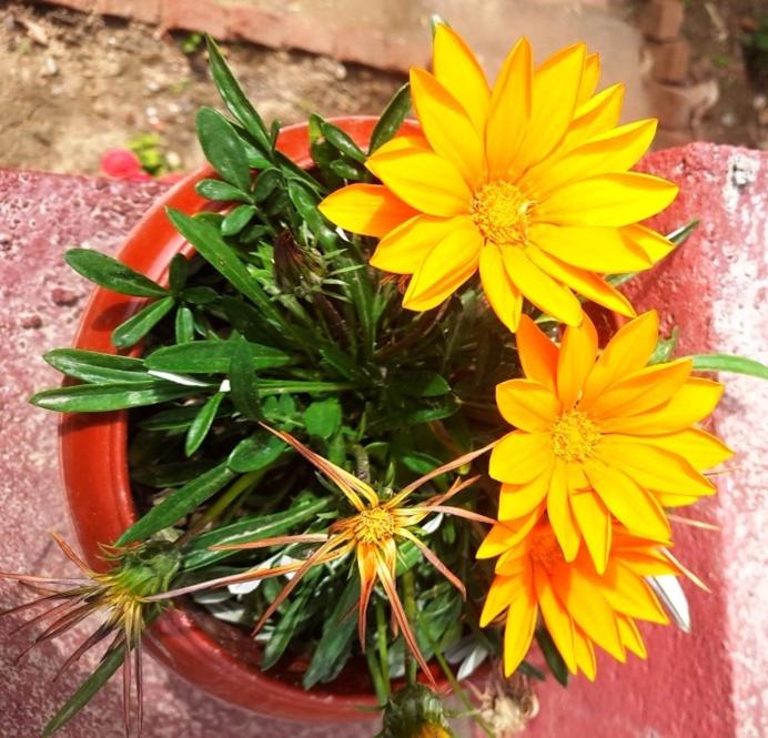 Photo 46