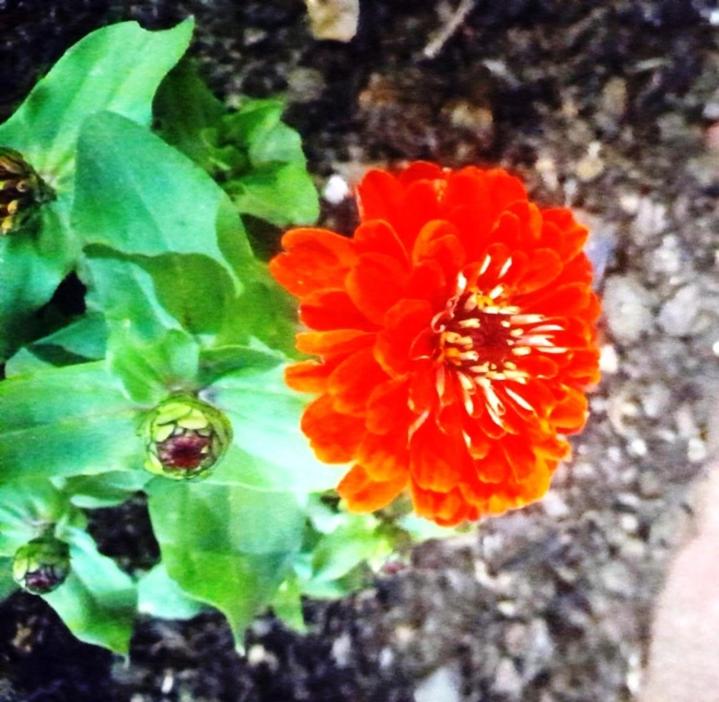 Photo 47