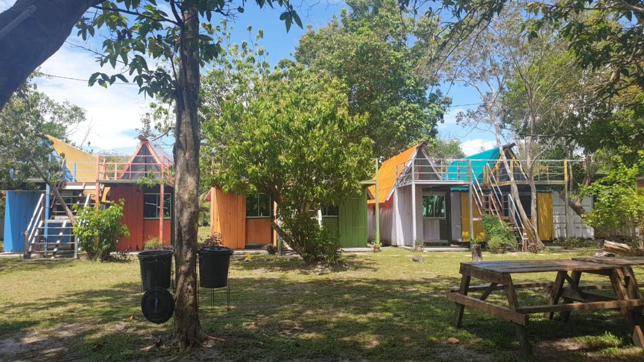 Photo 16