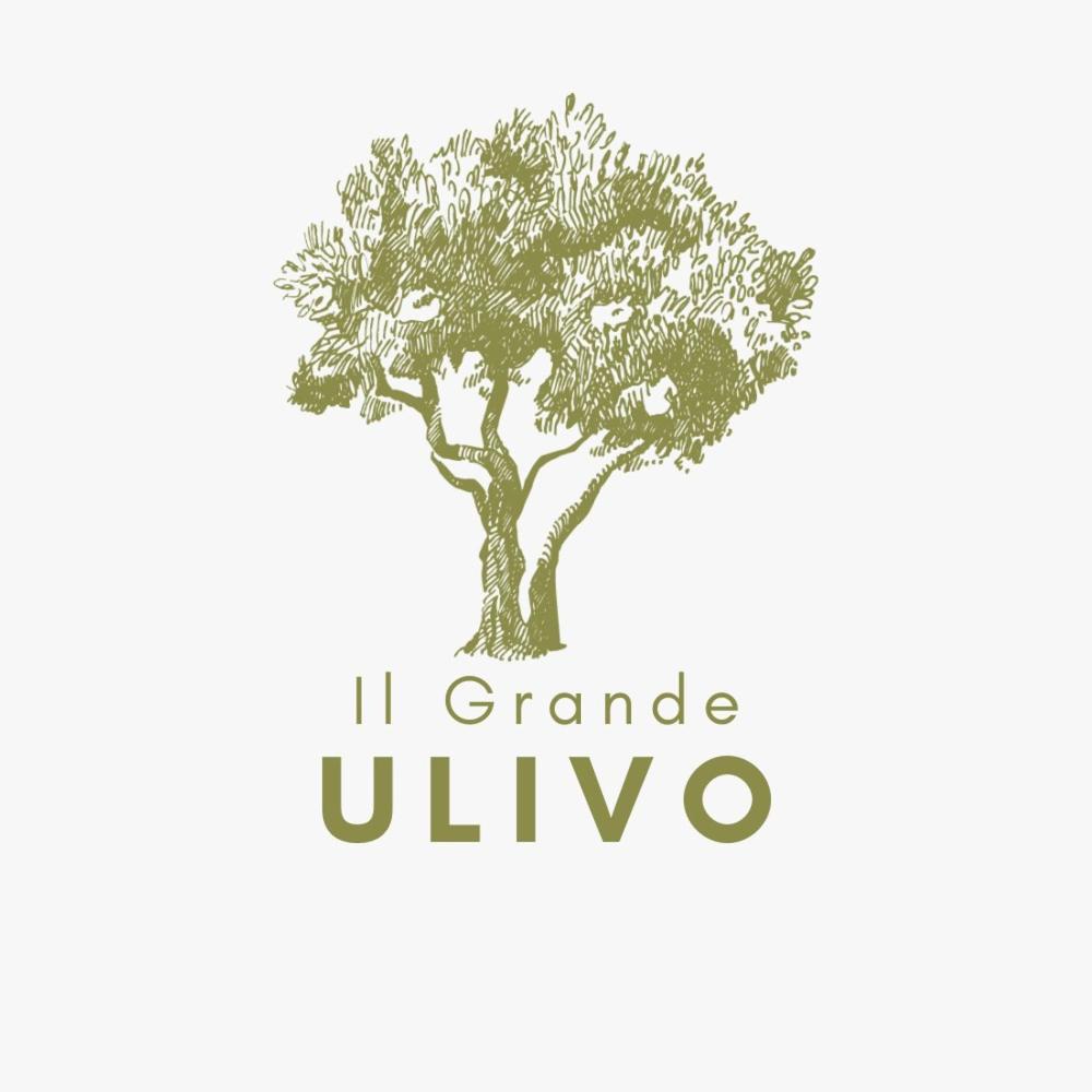 Il Grande Ulivo view 2
