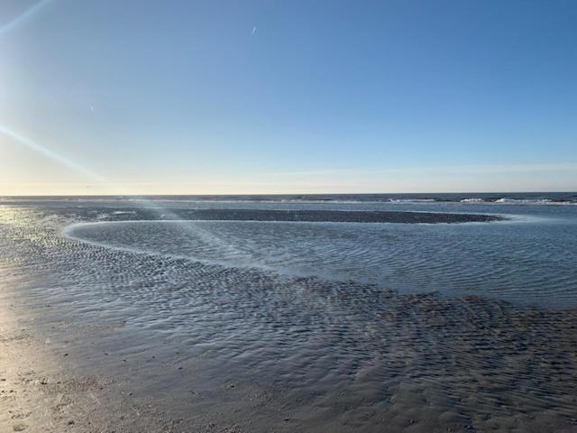 Meeresbrise 2