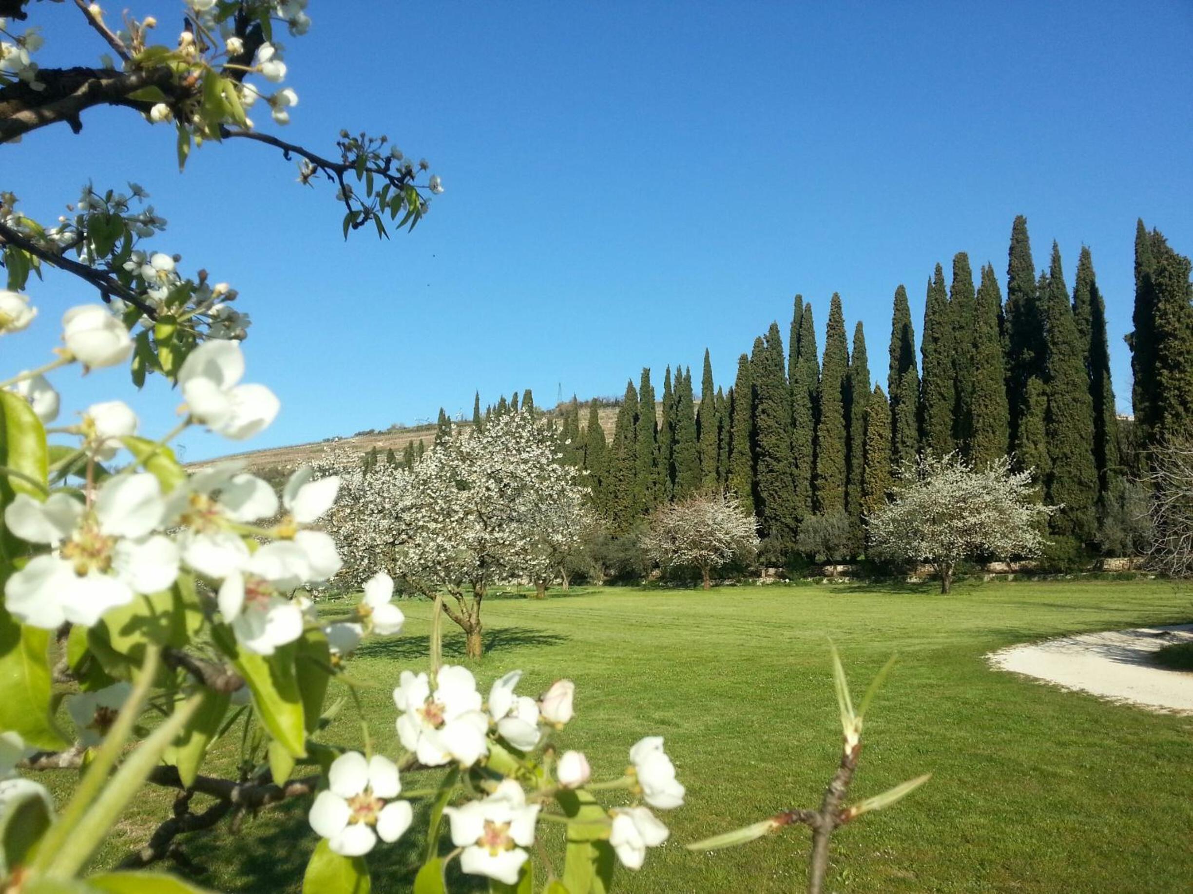 La Foresteria Serego Alighieri