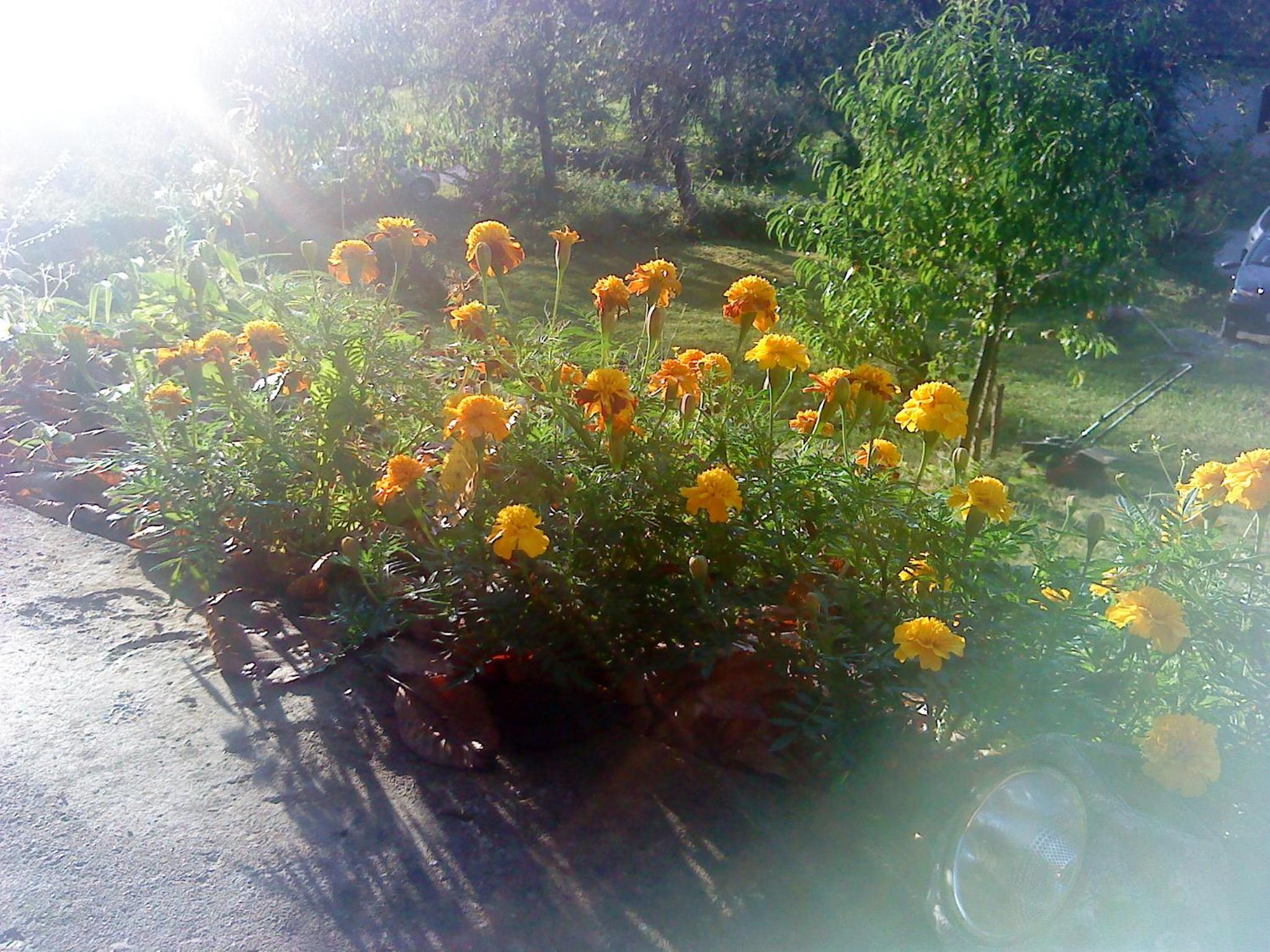 Holiday Home Vesna view 5