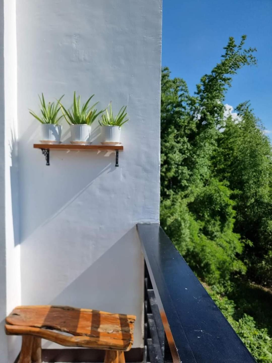 Dicimulacion Staycation House