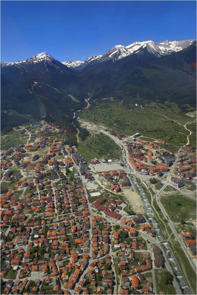 Harriet Hill Designer Bansko