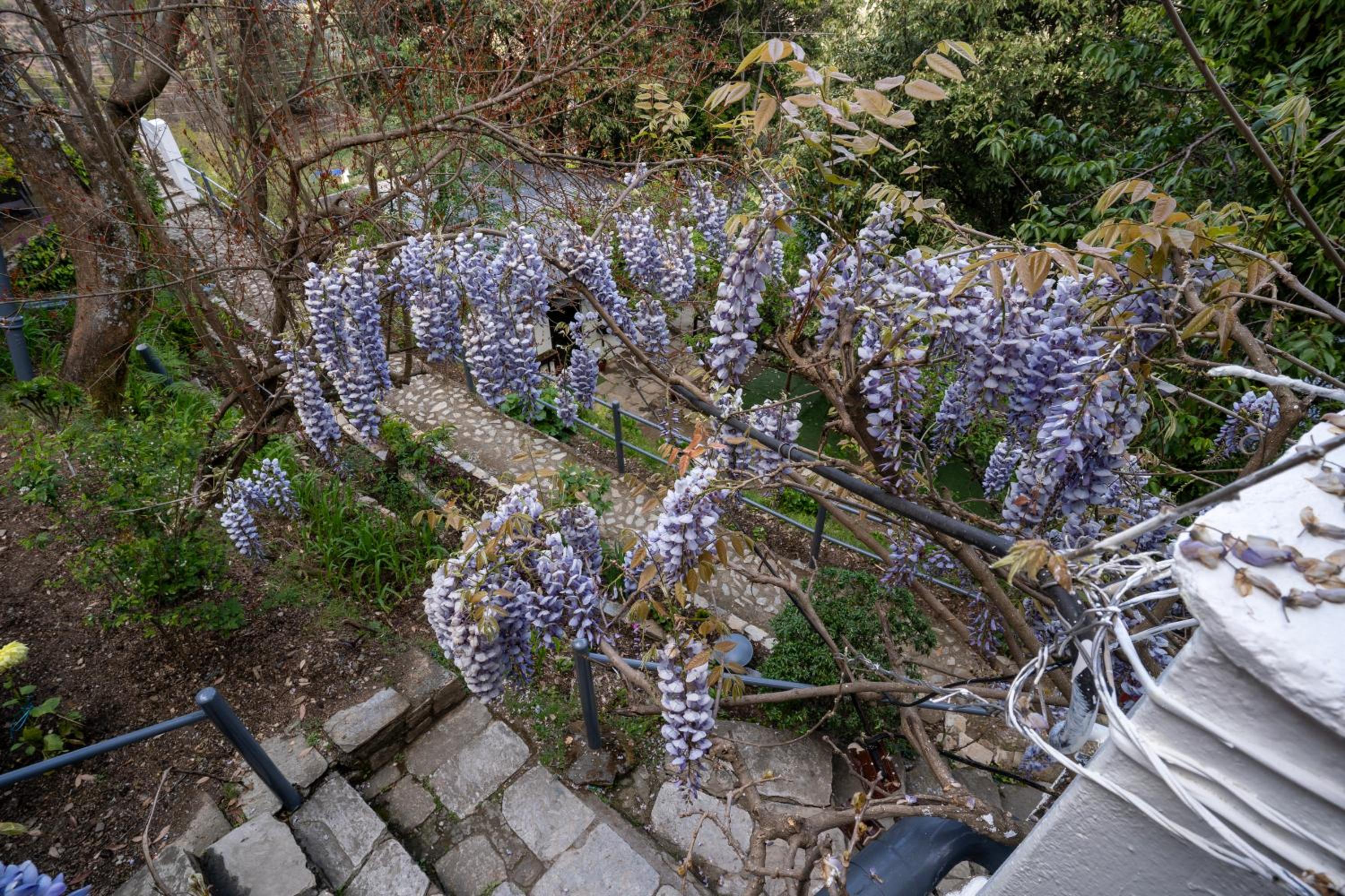 Photo 46