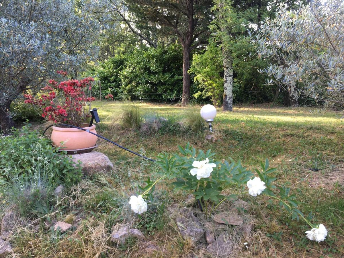 Photo 35