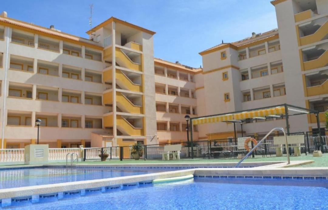 Palmerita 5 view 2